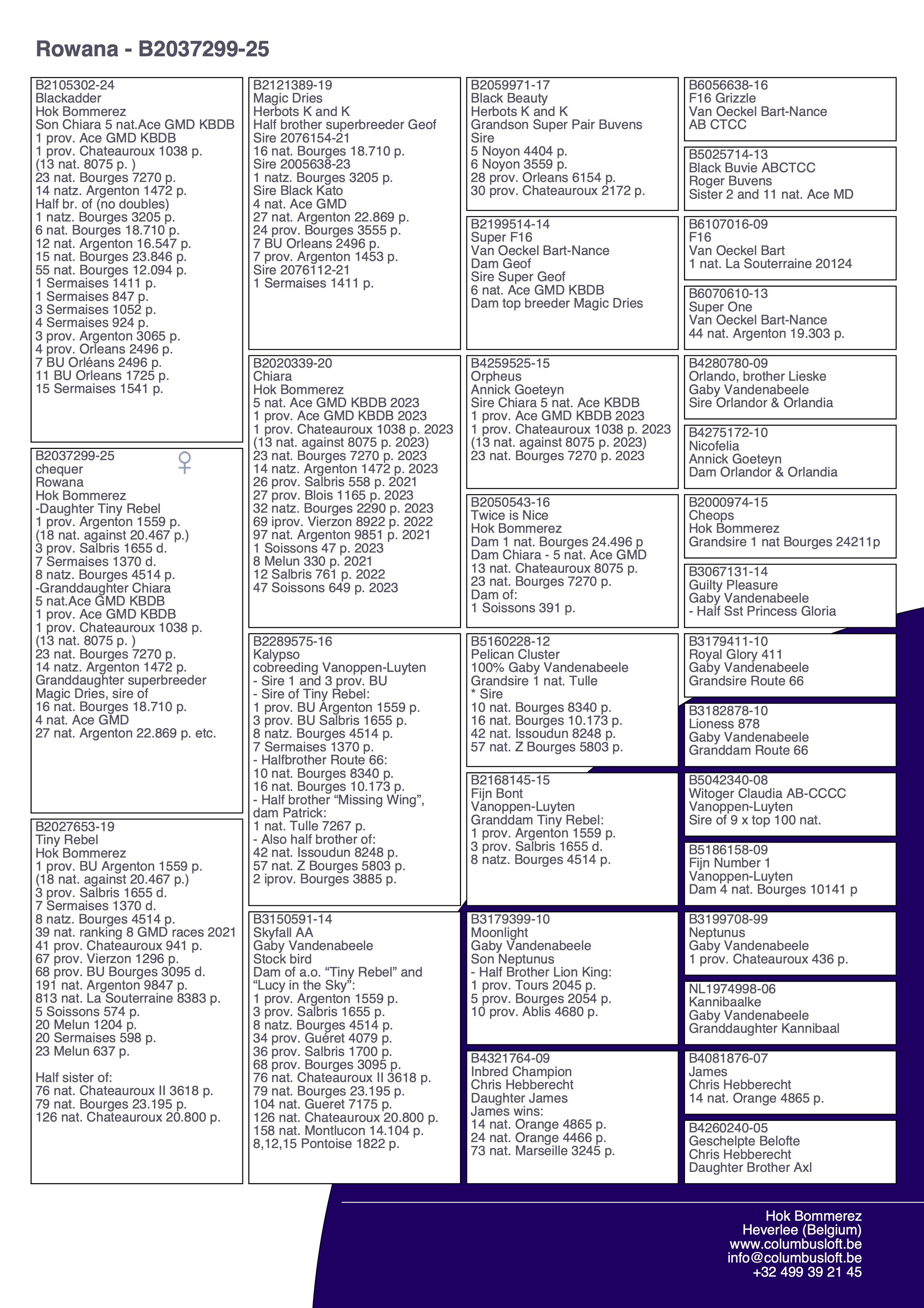 pedigree “Rowana" - dochter “Tiny Rebel” 1 prov. BU Argenton 1559 d. - 3 prov. Salbris 1655 d. - 8 nat. zone Bourges 4514 d.