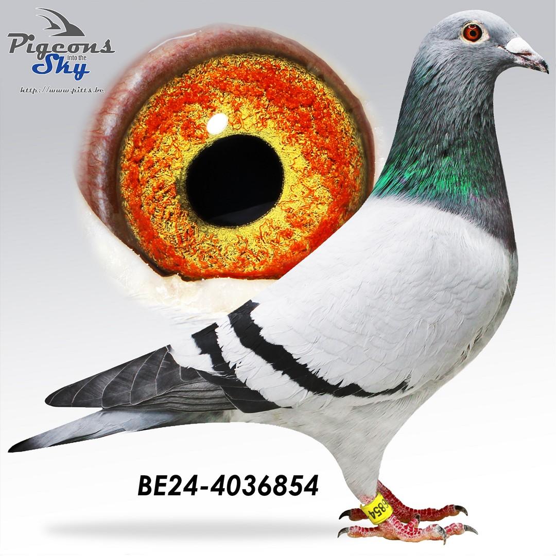 Achterkleinzoon De Leeuw x Kleindochter Den Ad 