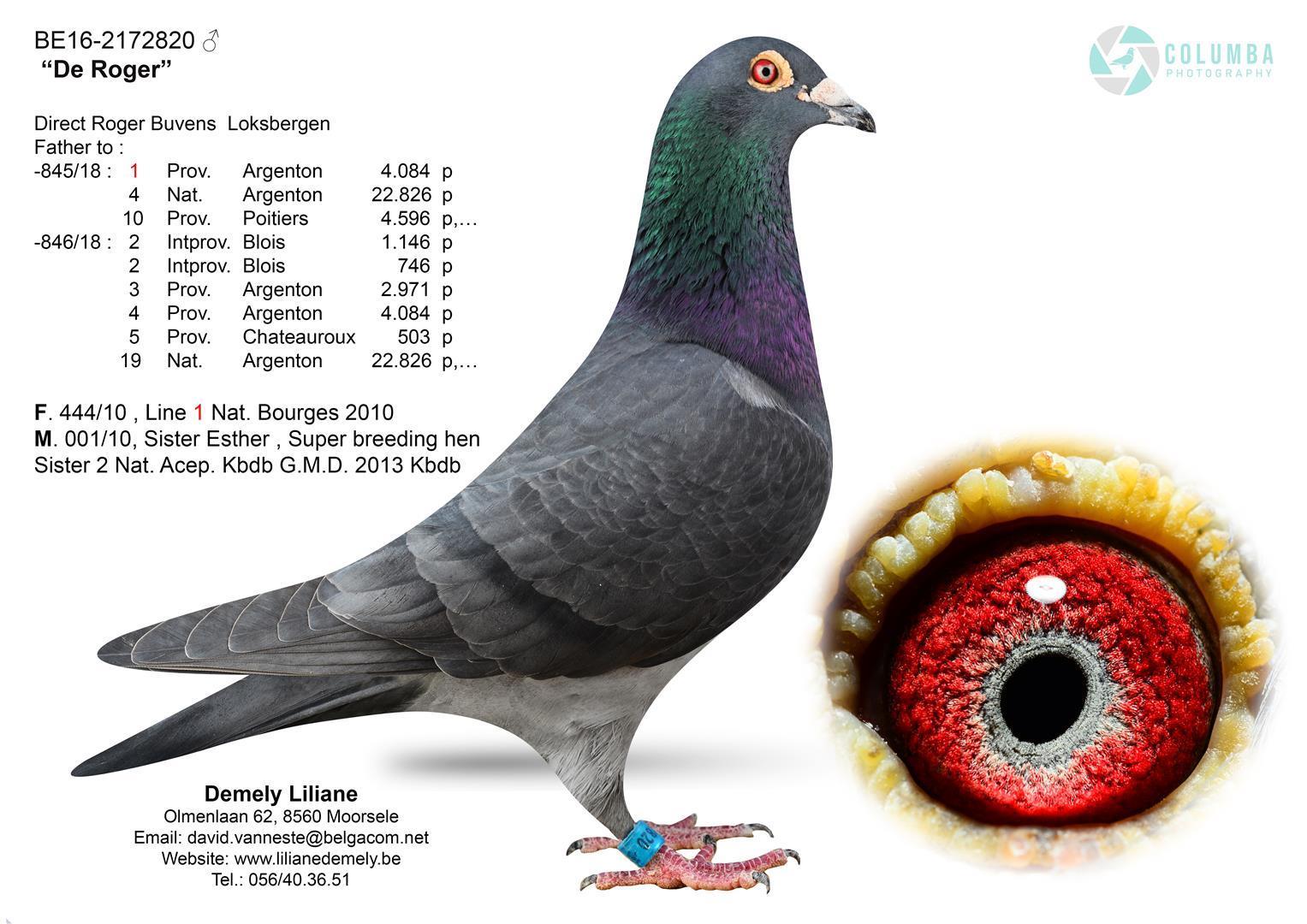 “Black Sabbath”, moeder “008” (4 prov. Argenton 684 d. & 25 prov. Bourges II 1394 d.) - Familie