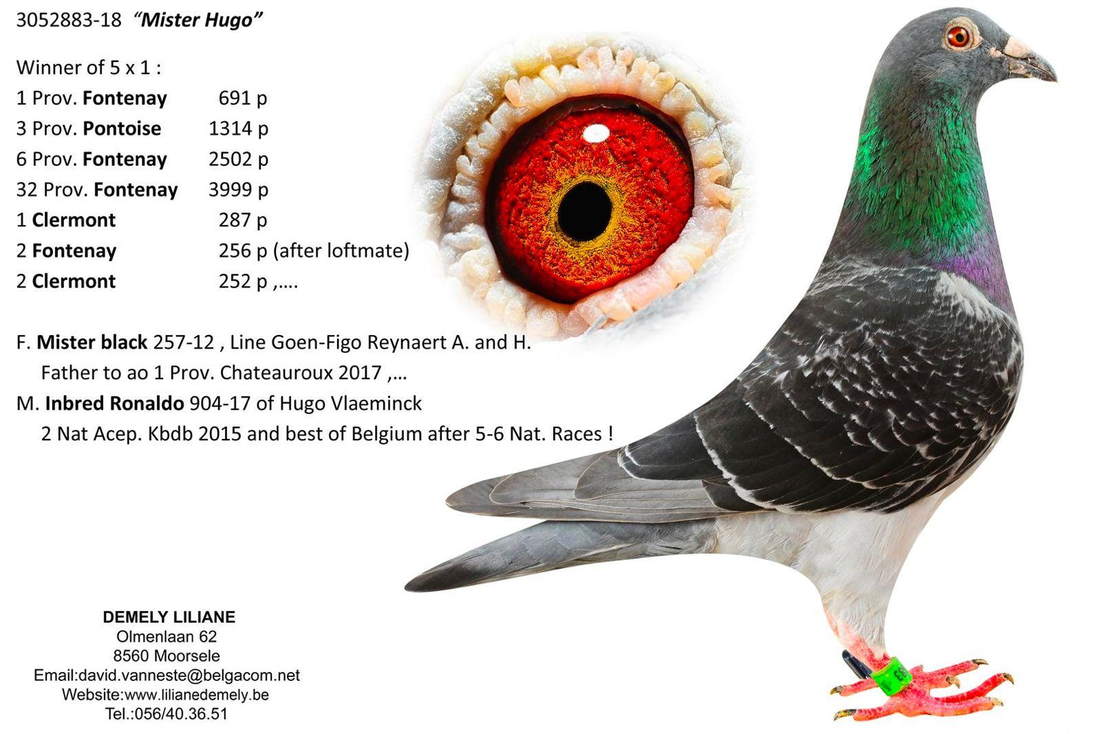 “Black Sabbath”, moeder “008” (4 prov. Argenton 684 d. & 25 prov. Bourges II 1394 d.) - Familie