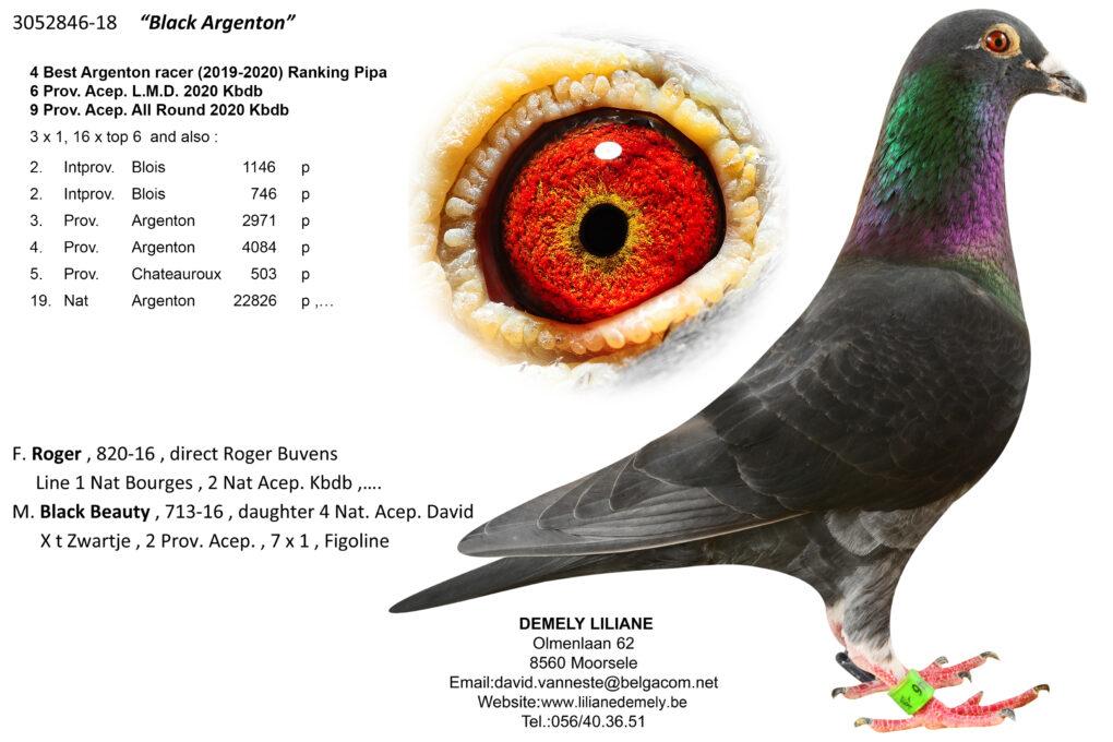 “Black Sabbath”, moeder “008” (4 prov. Argenton 684 d. & 25 prov. Bourges II 1394 d.) - Familie