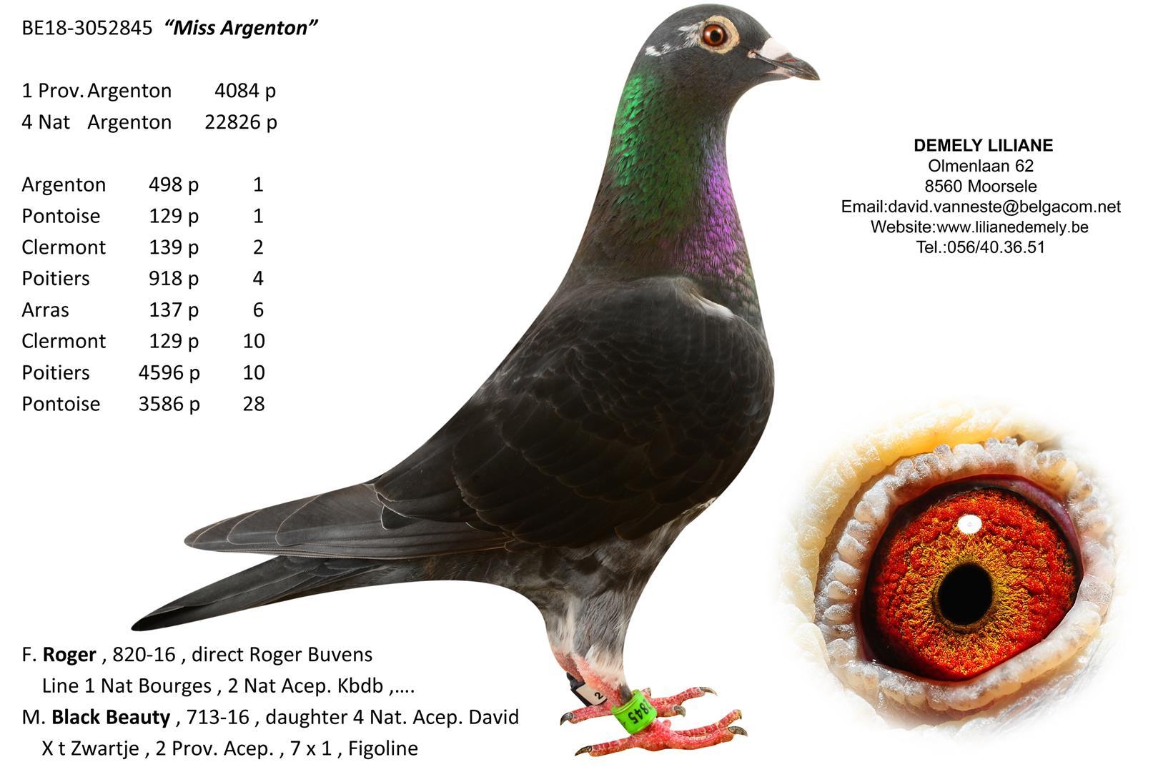 “Black Sabbath”, moeder “008” (4 prov. Argenton 684 d. & 25 prov. Bourges II 1394 d.) - Familie