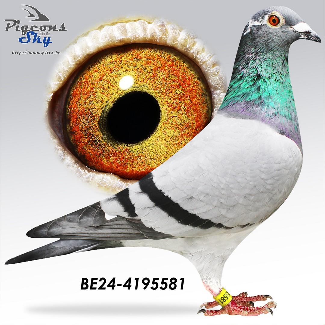 Kleinzoon Extreem x Kleindochter Den Ad 