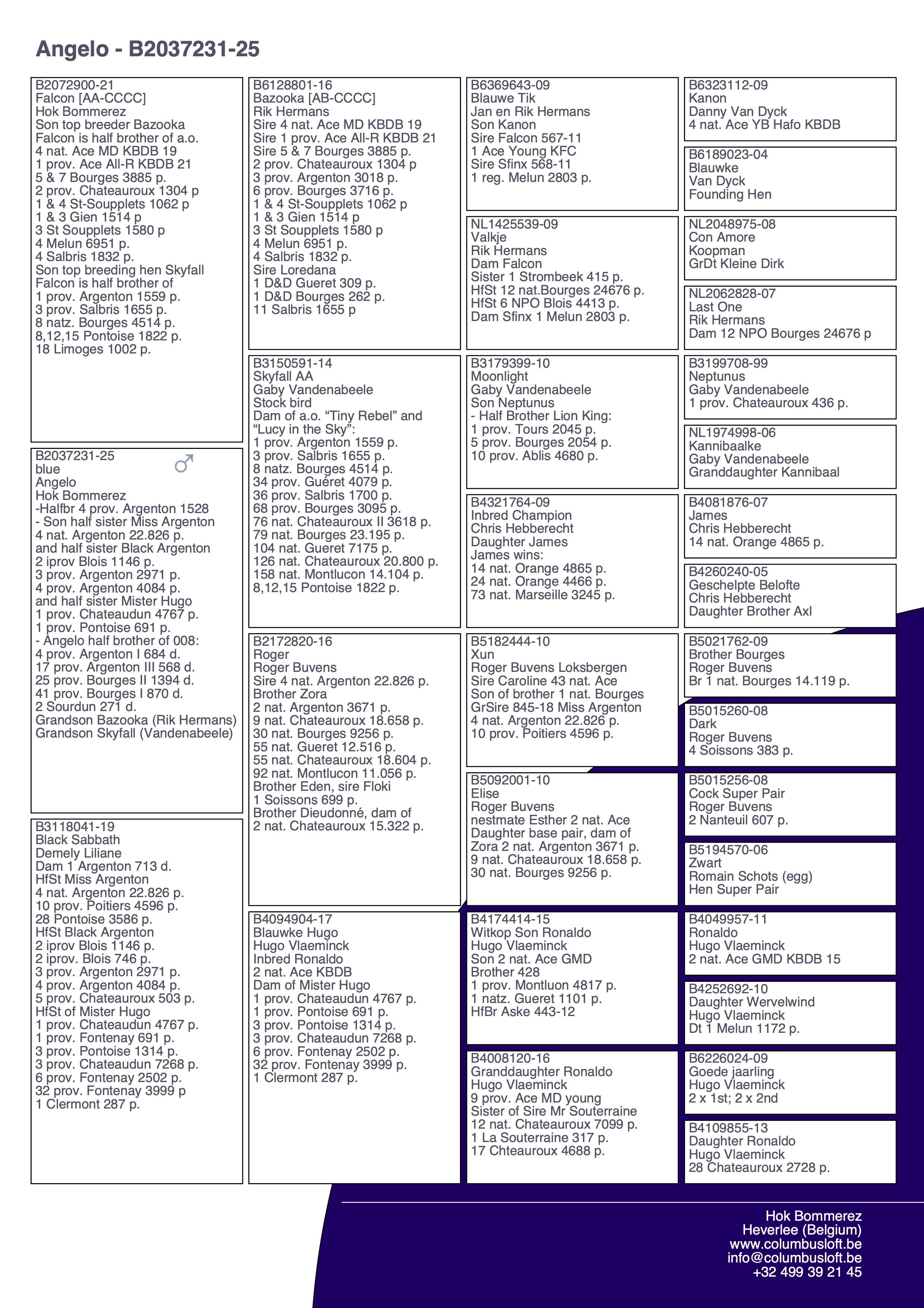 pedigree “Angelo", AB genotype, halfbroer 4 en 17  prov. Argenton, 25 en 41 prov. Bourges