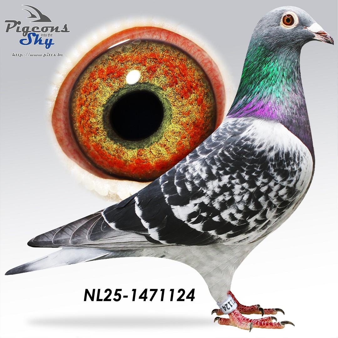 Broer 4° Nat Bergerac 