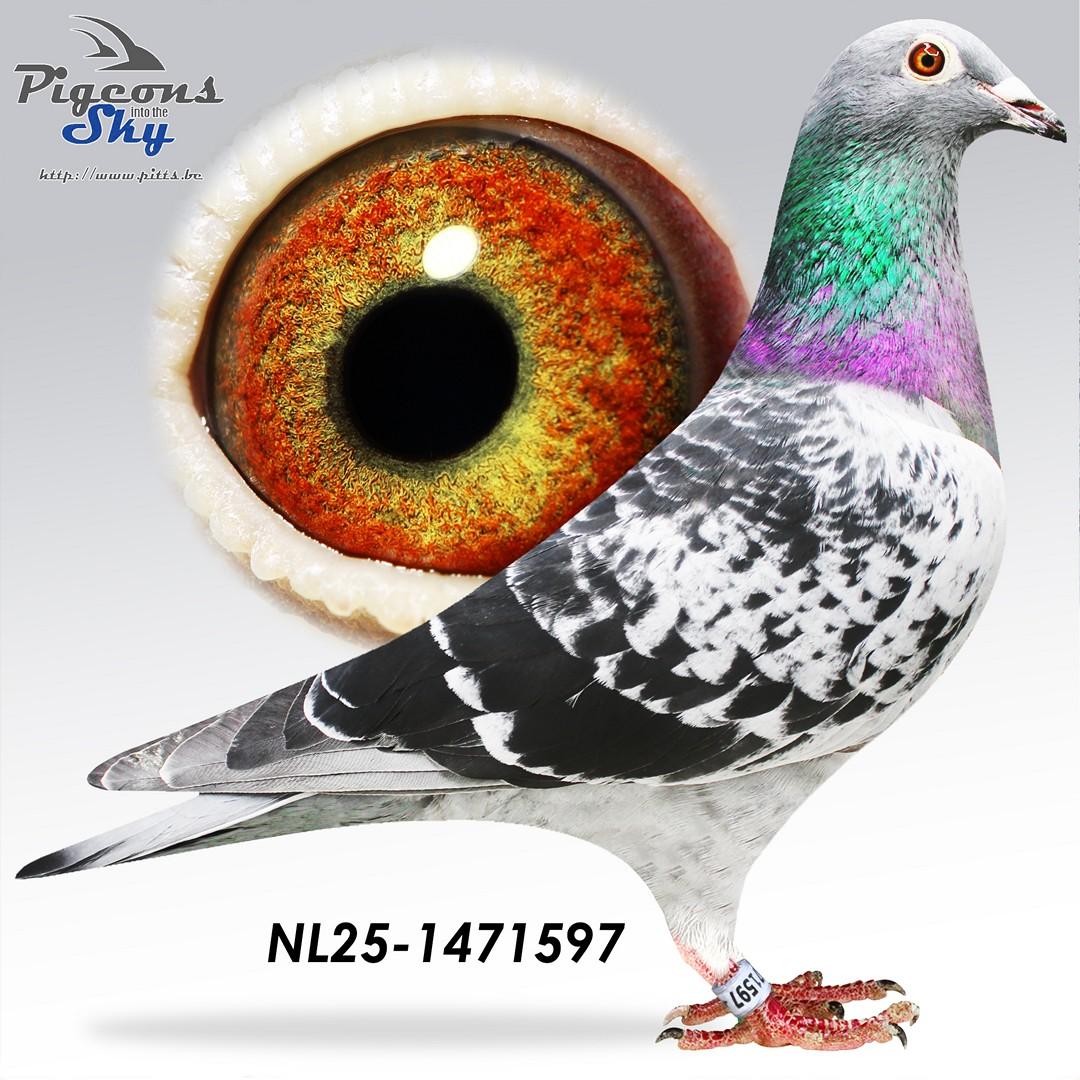 Zoon De Geluksknikker 