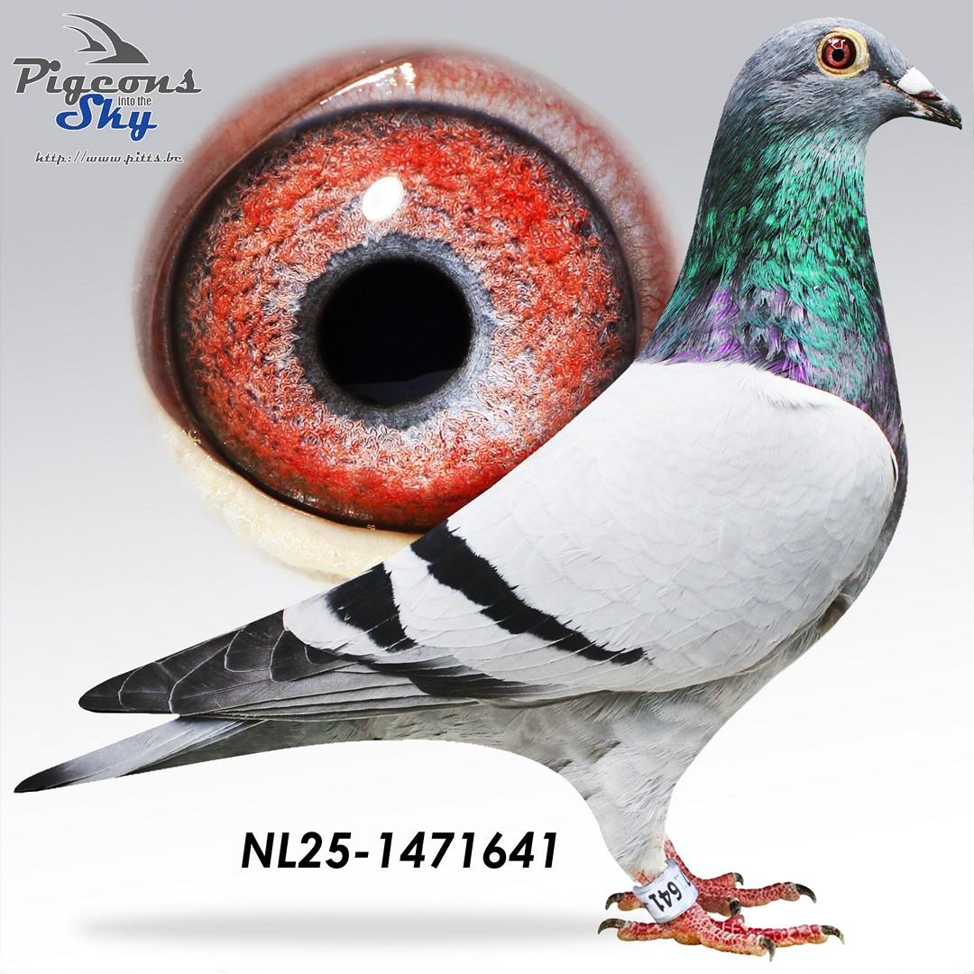 Que Deng Deng x Ice Woman 