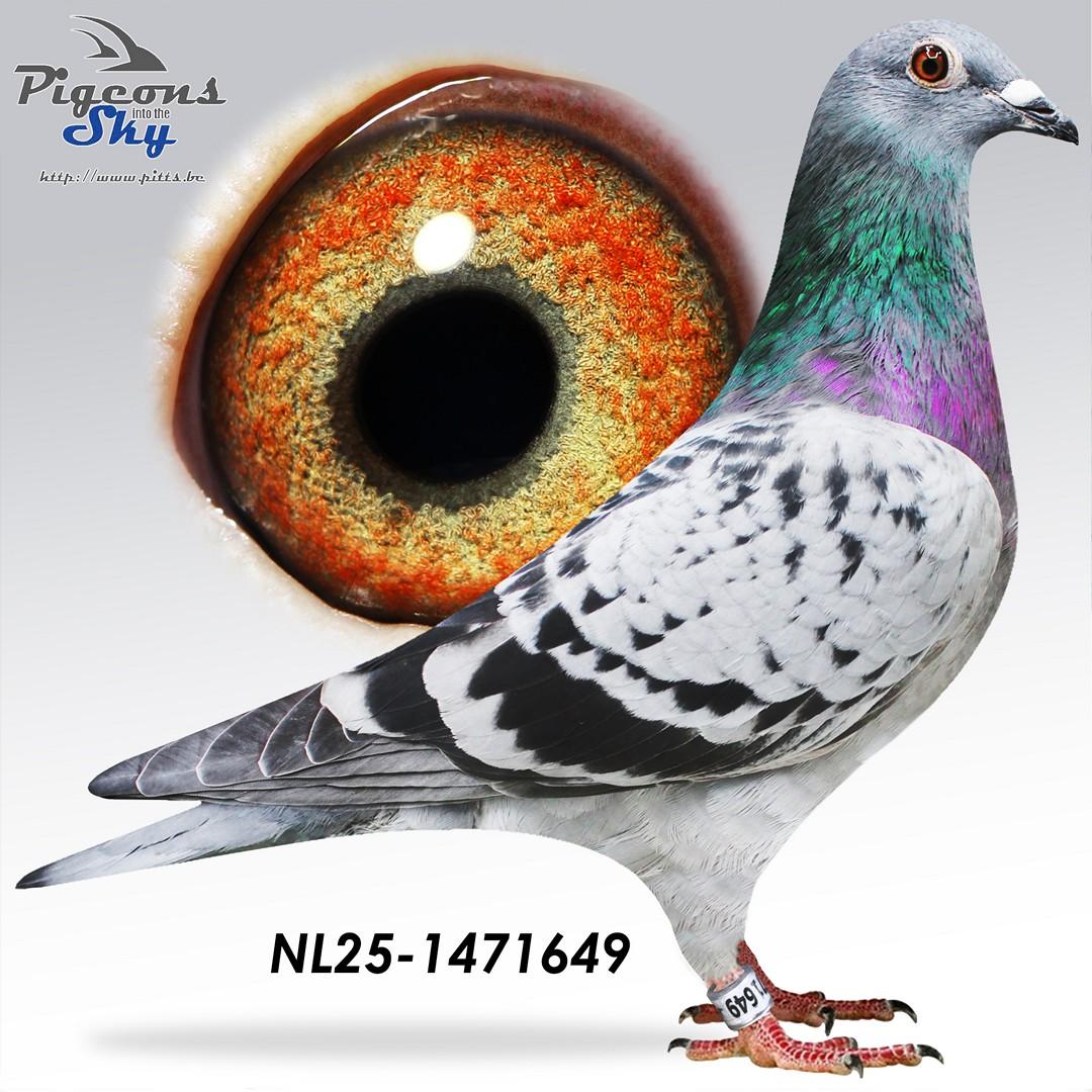 De Plank x Jutte Leerdam 