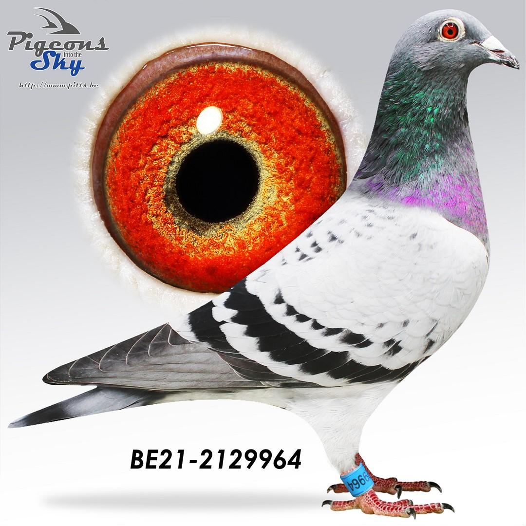 Demi Dolle x Lady Lucy 