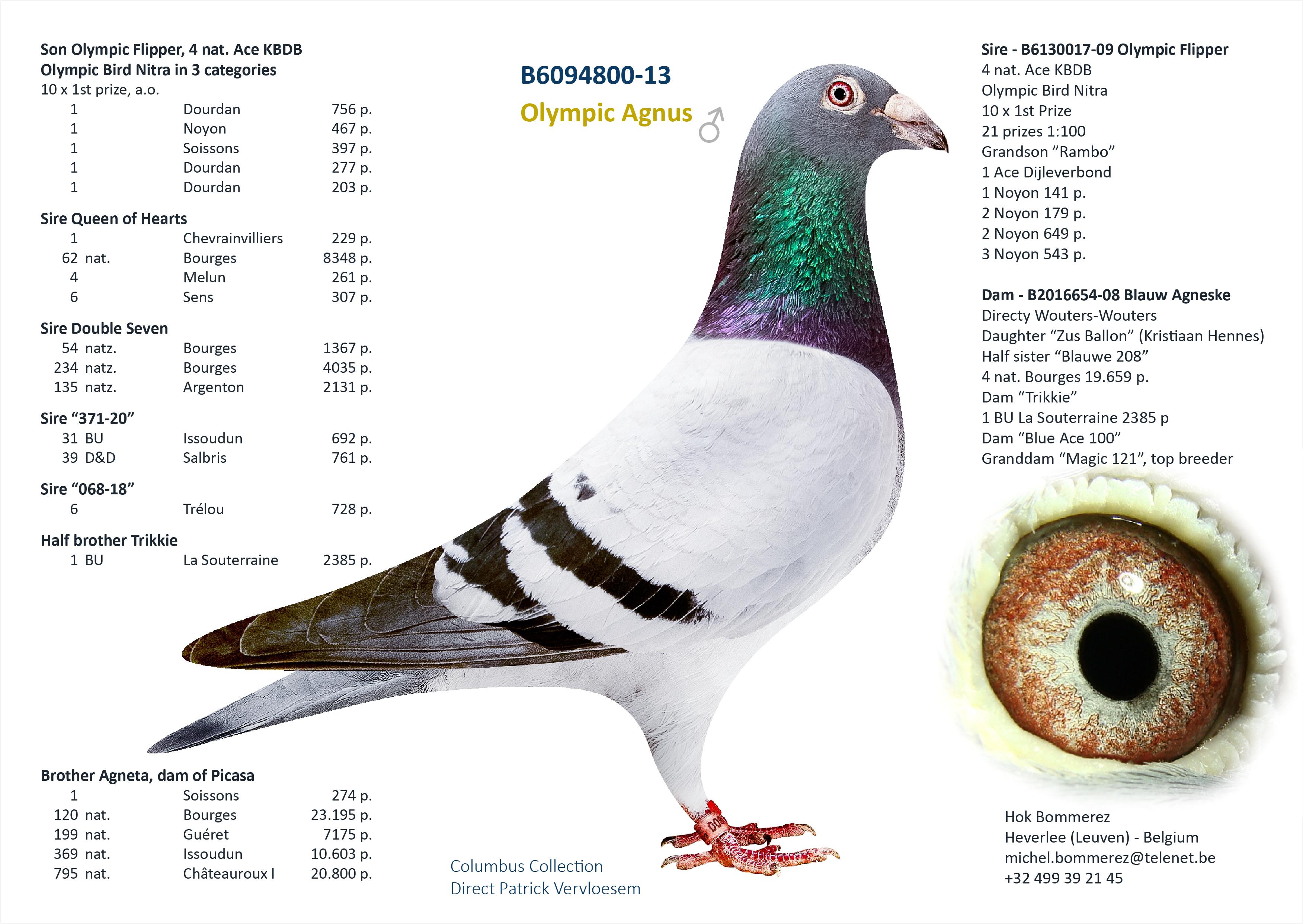 “Double Seven", 54 nat. zone Bourges 1367 d., volle zus van 10 prov. Bourges 1321 d. en 1 Chevrainvilliers 229 d. - Familie