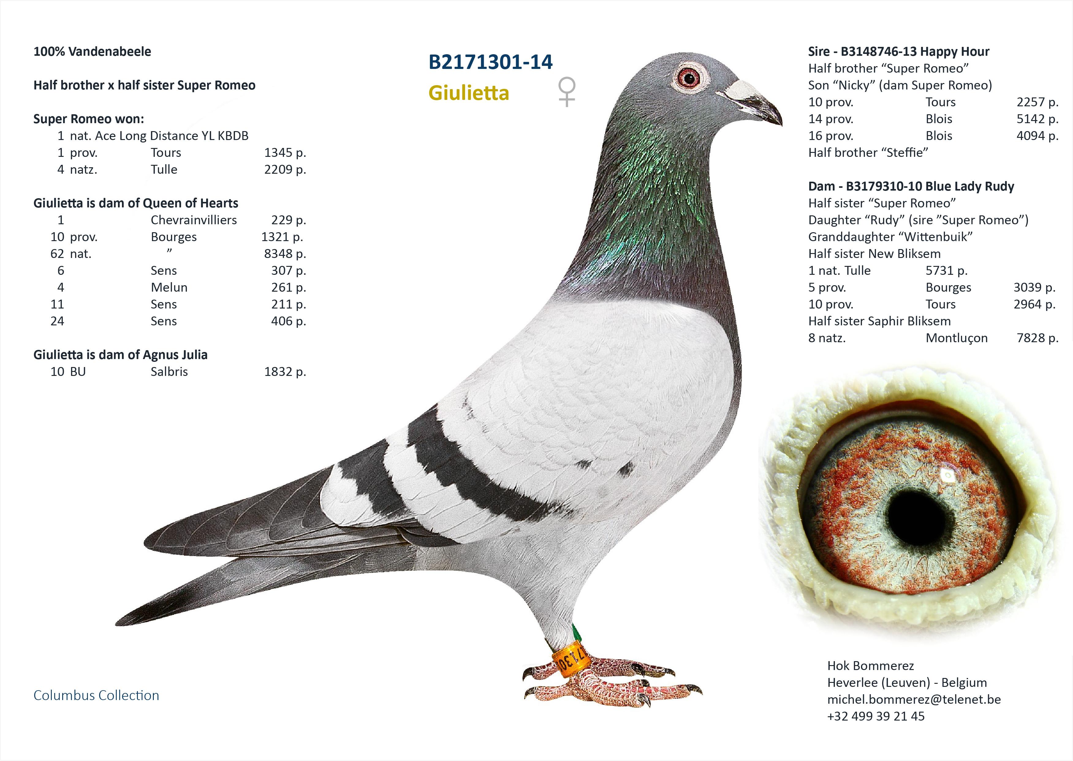 “Double Seven", 54 nat. zone Bourges 1367 d., volle zus van 10 prov. Bourges 1321 d. en 1 Chevrainvilliers 229 d. - Familie