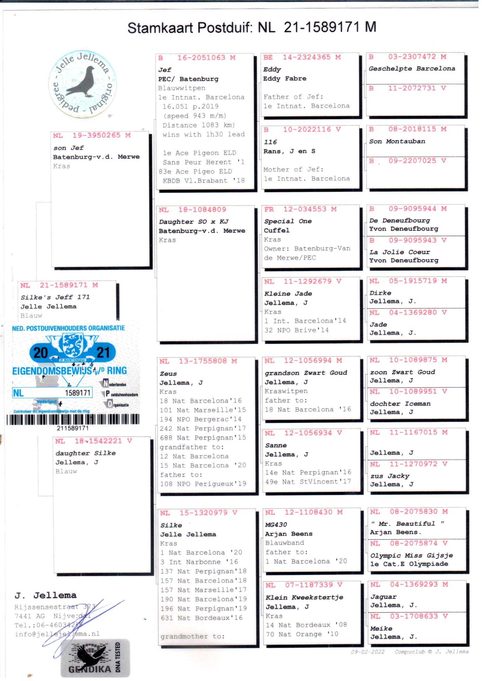 pedigree Silke’s Jeff 171 + DNA