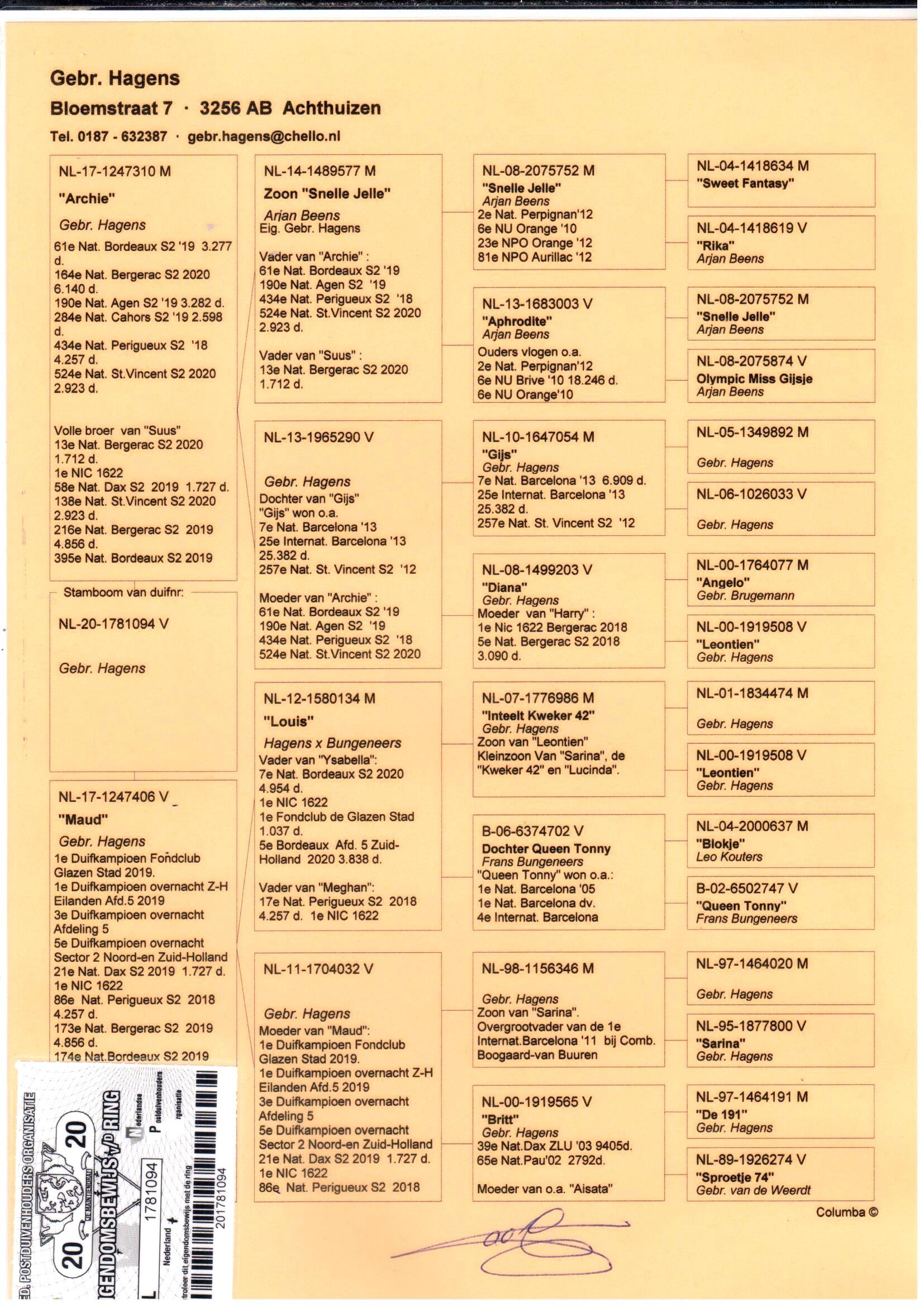 pedigree Archie x Maud 