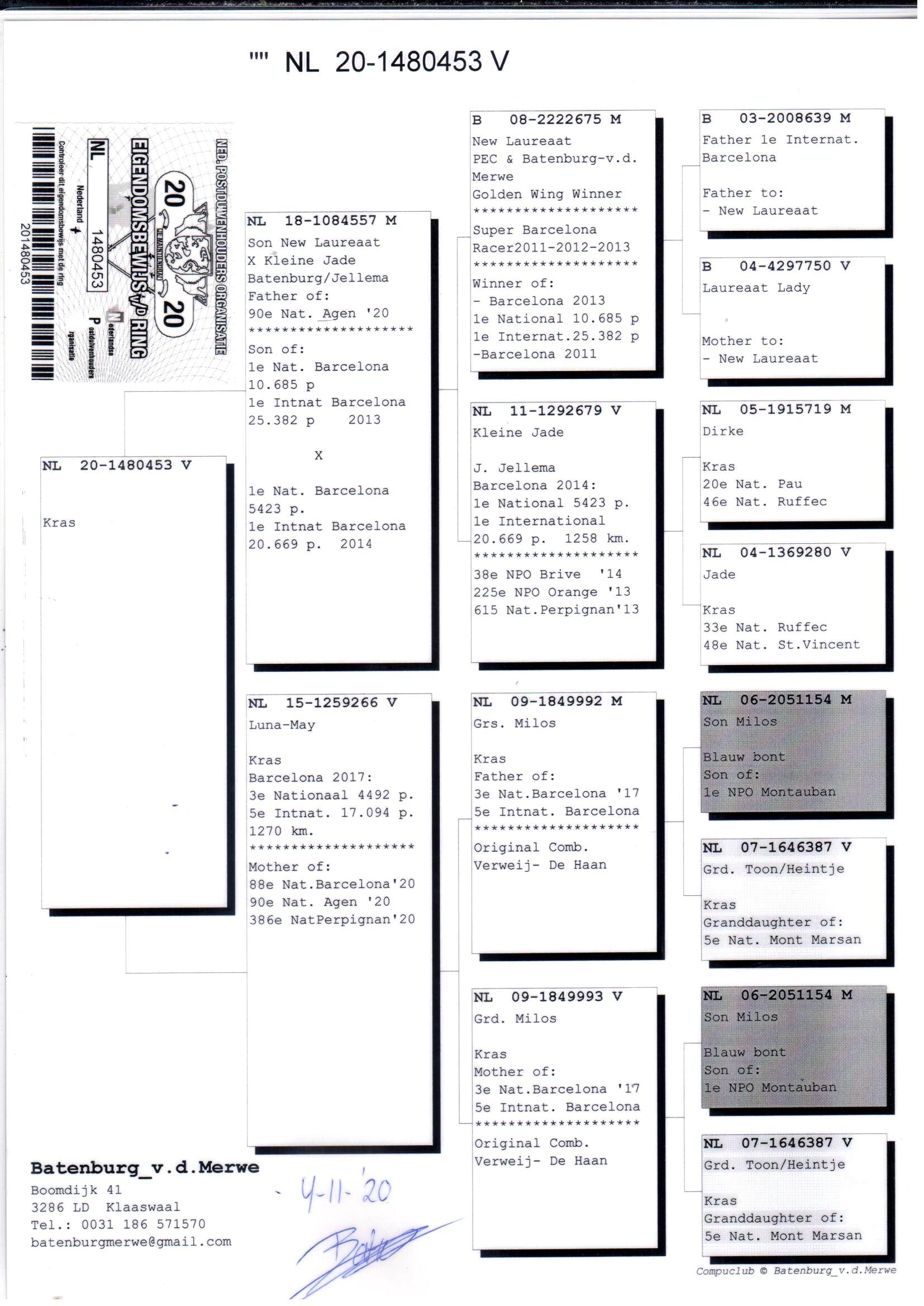 pedigree Son New Laureaat x Luna-May + DNA