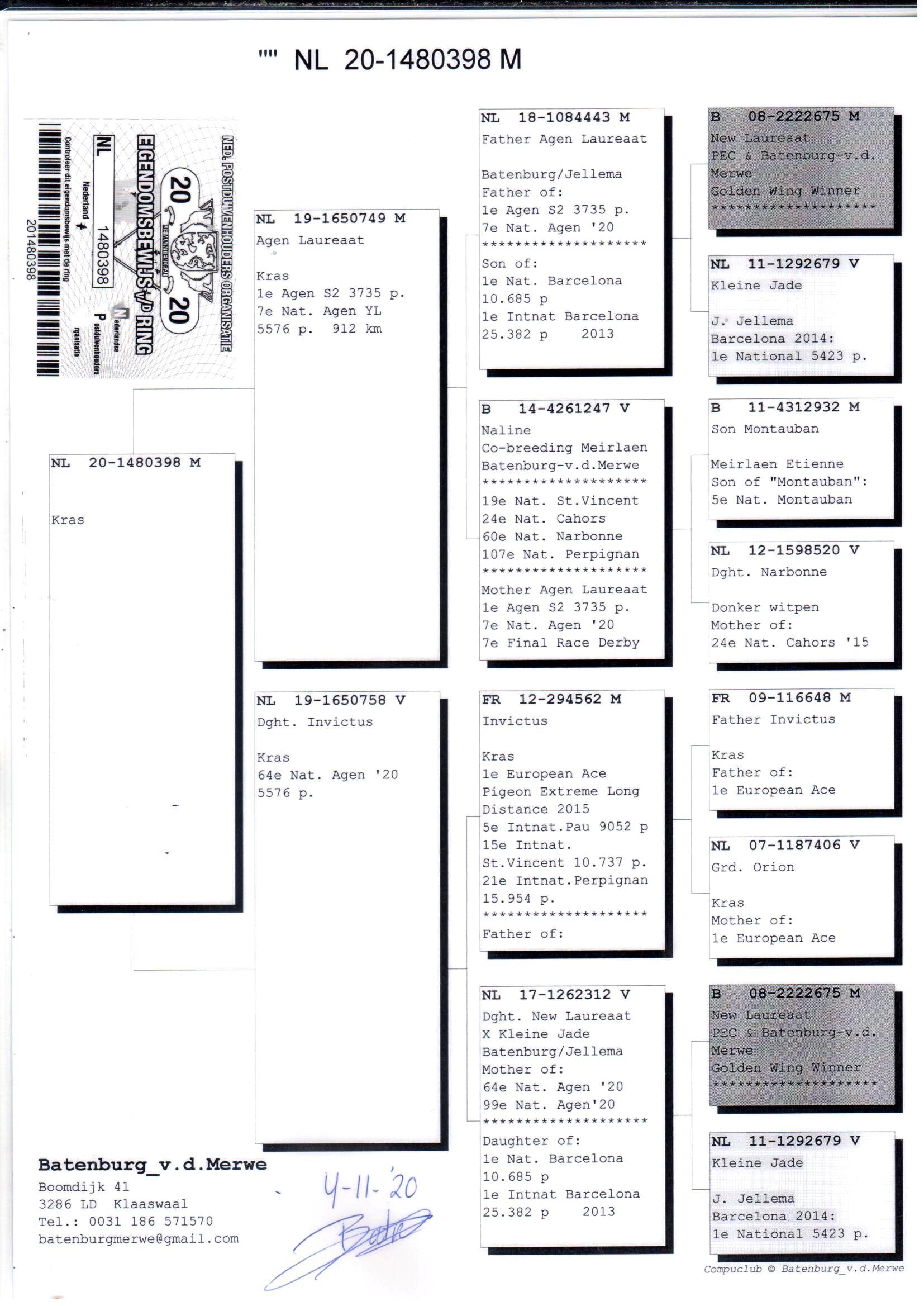 pedigree Agen Laureaat x Dochter Invictus + DNA
