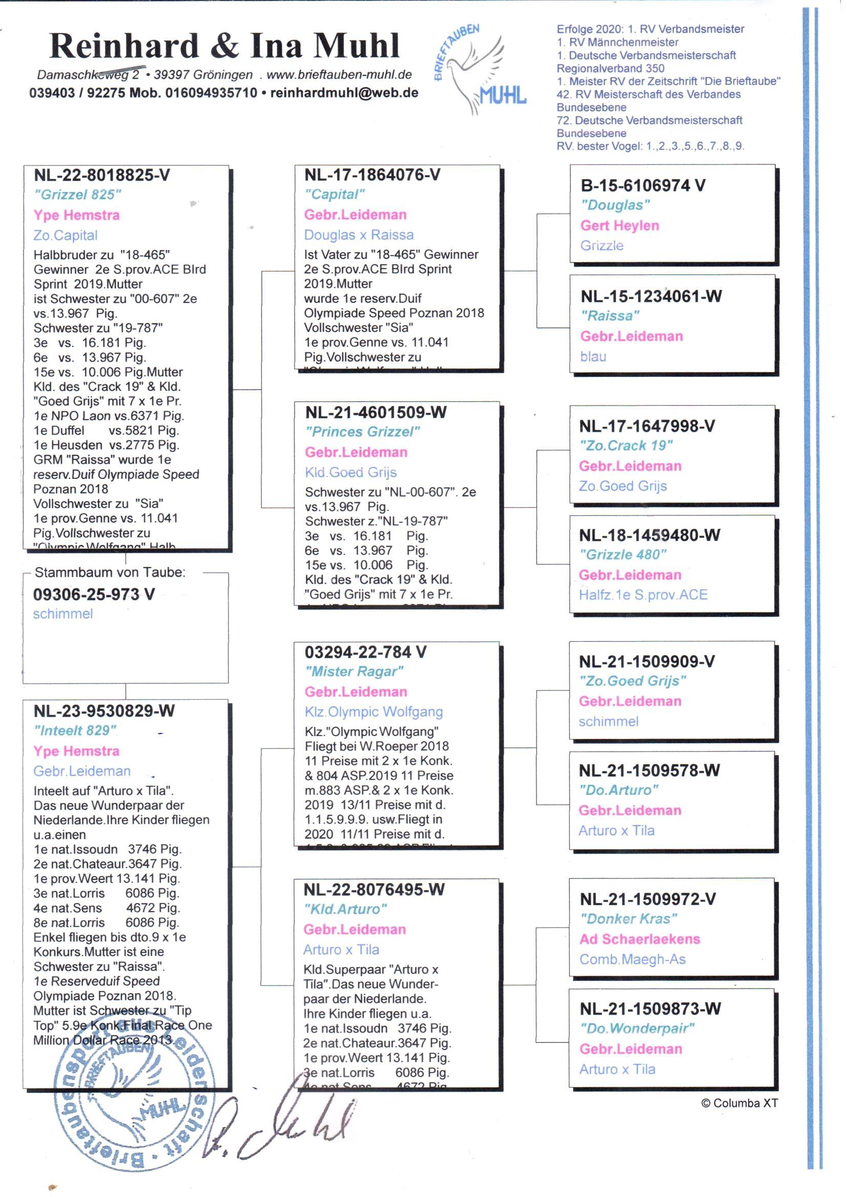 pedigree Grizzel 825 x Inteelt 829 
