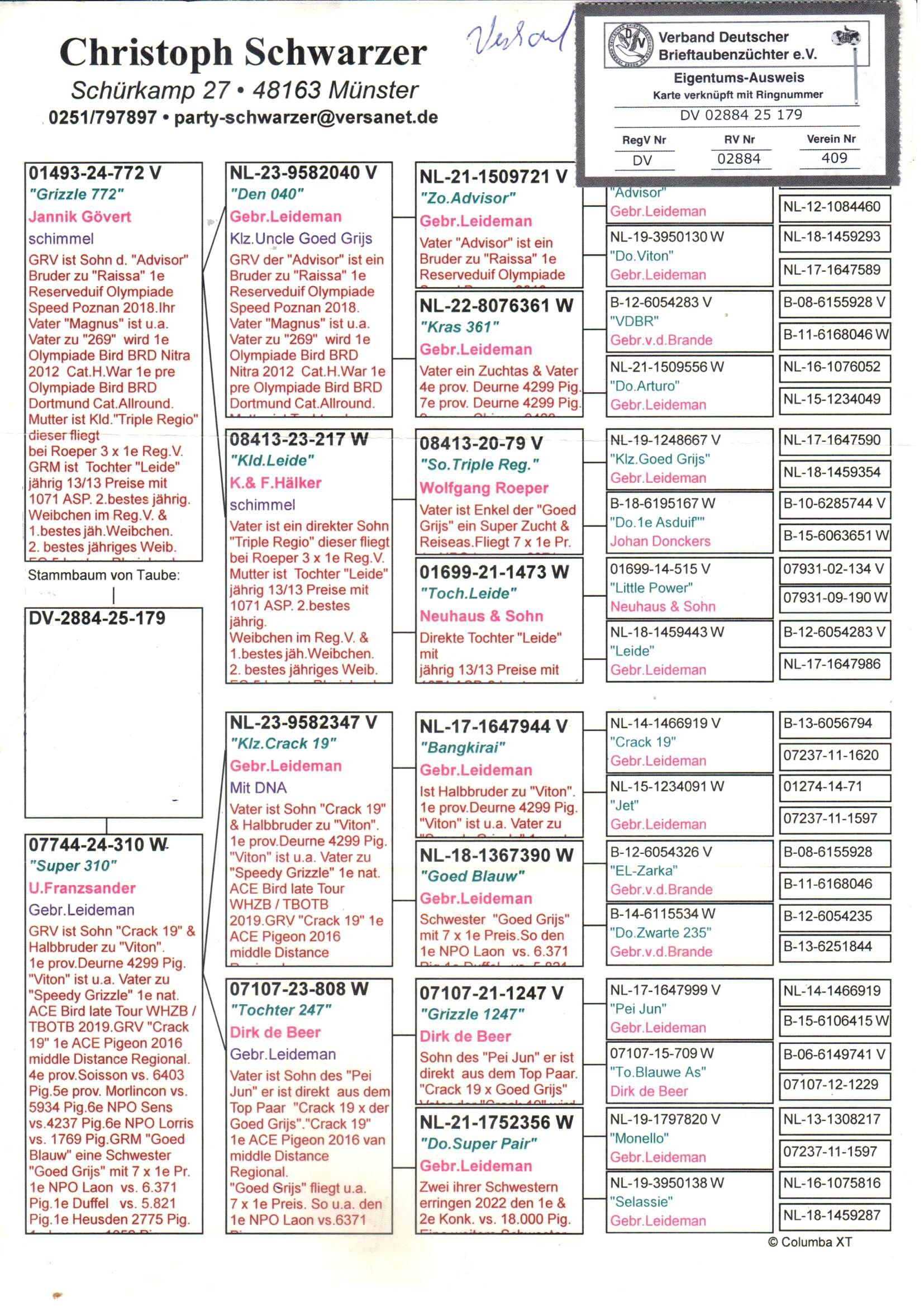 pedigree Grizzle 772 x Super 310 