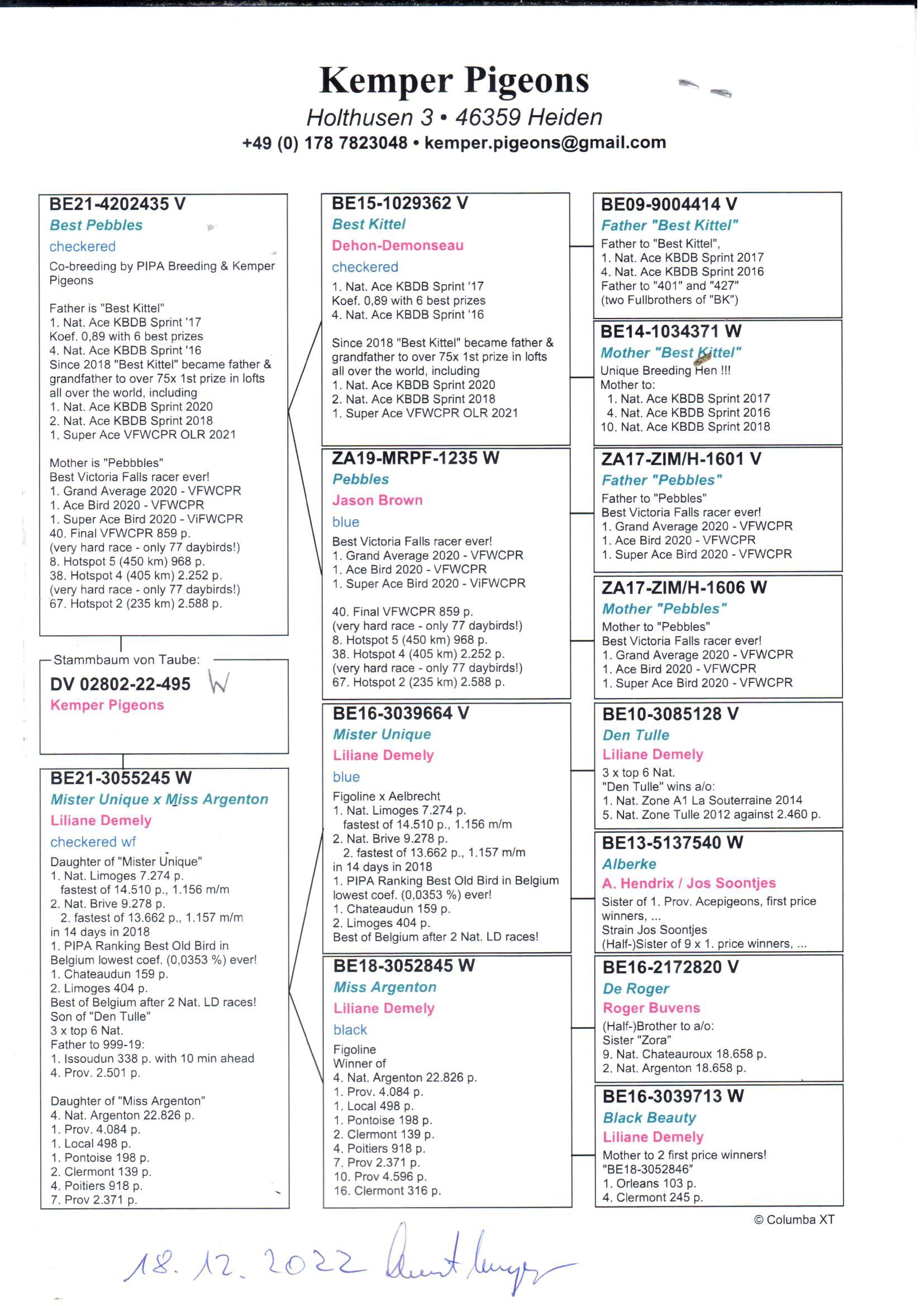 pedigree Best Pebbles x Dochter Mister Unique + DNA