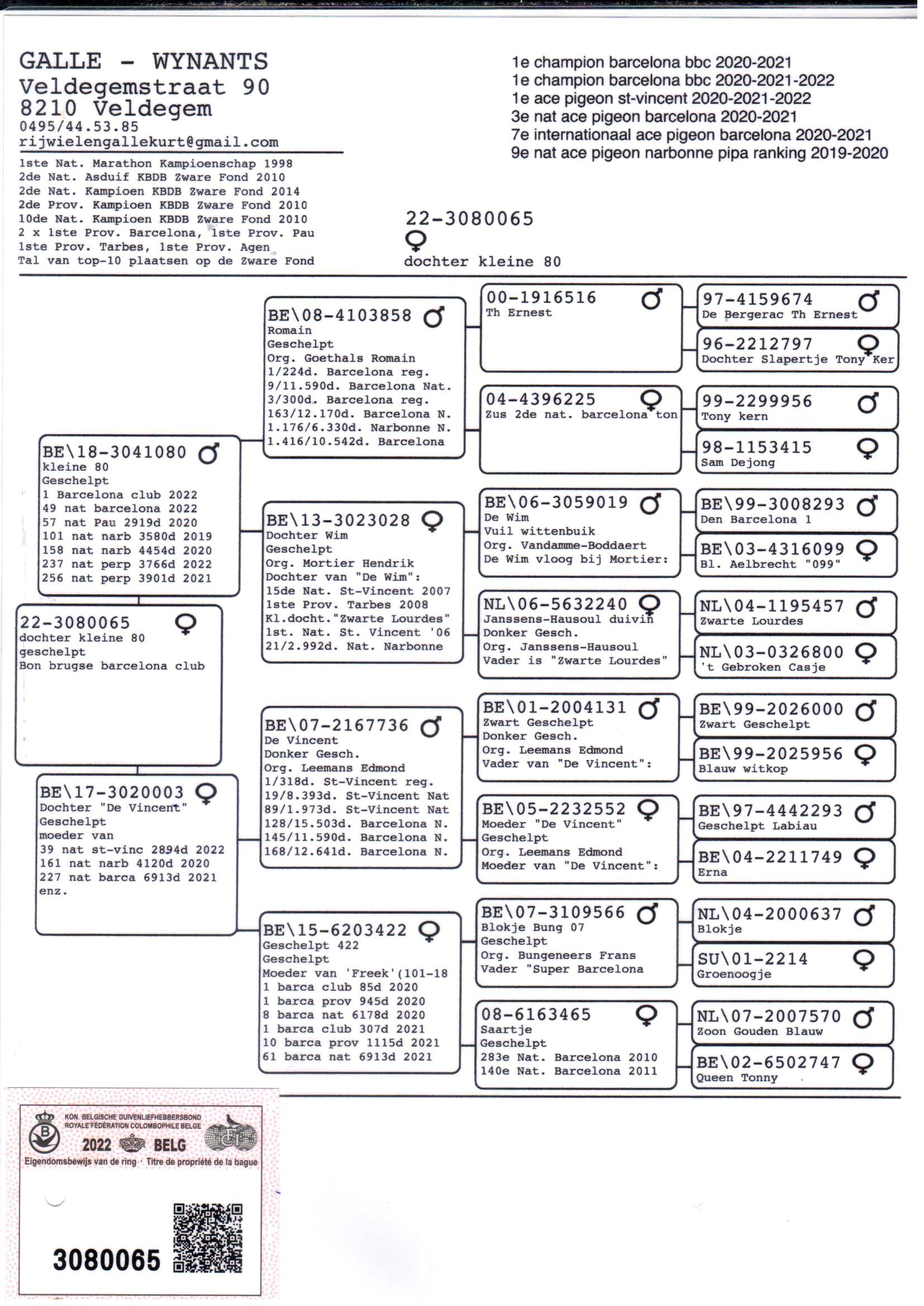 pedigree Kleine 80 x Dochter De Vincent 