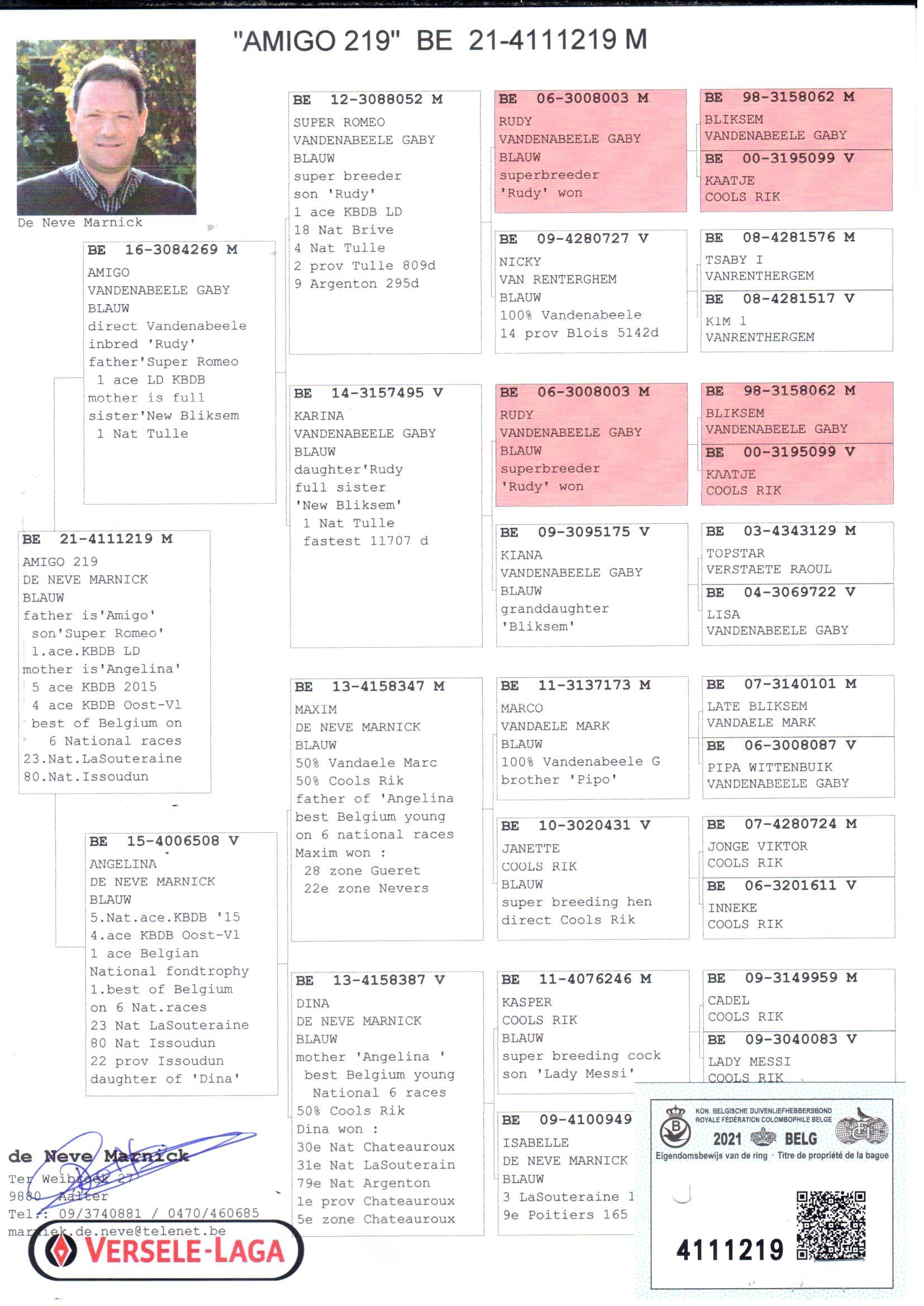 pedigree Amigo 219 + DNA