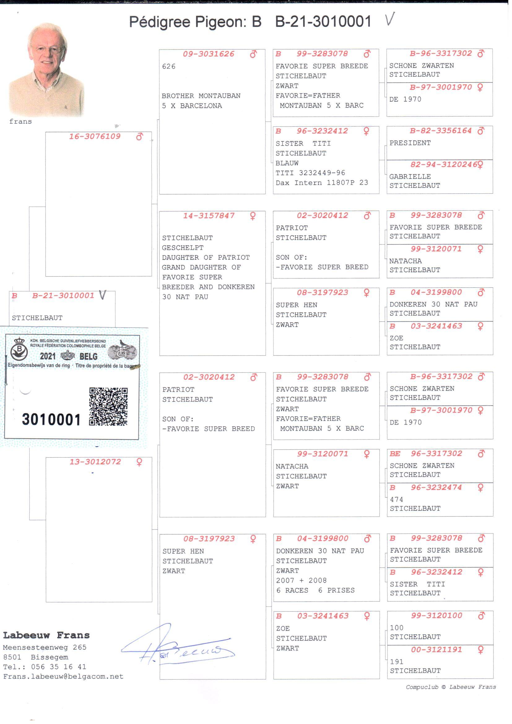 pedigree Zoon Brother Montauban x Dochter Patriot 
