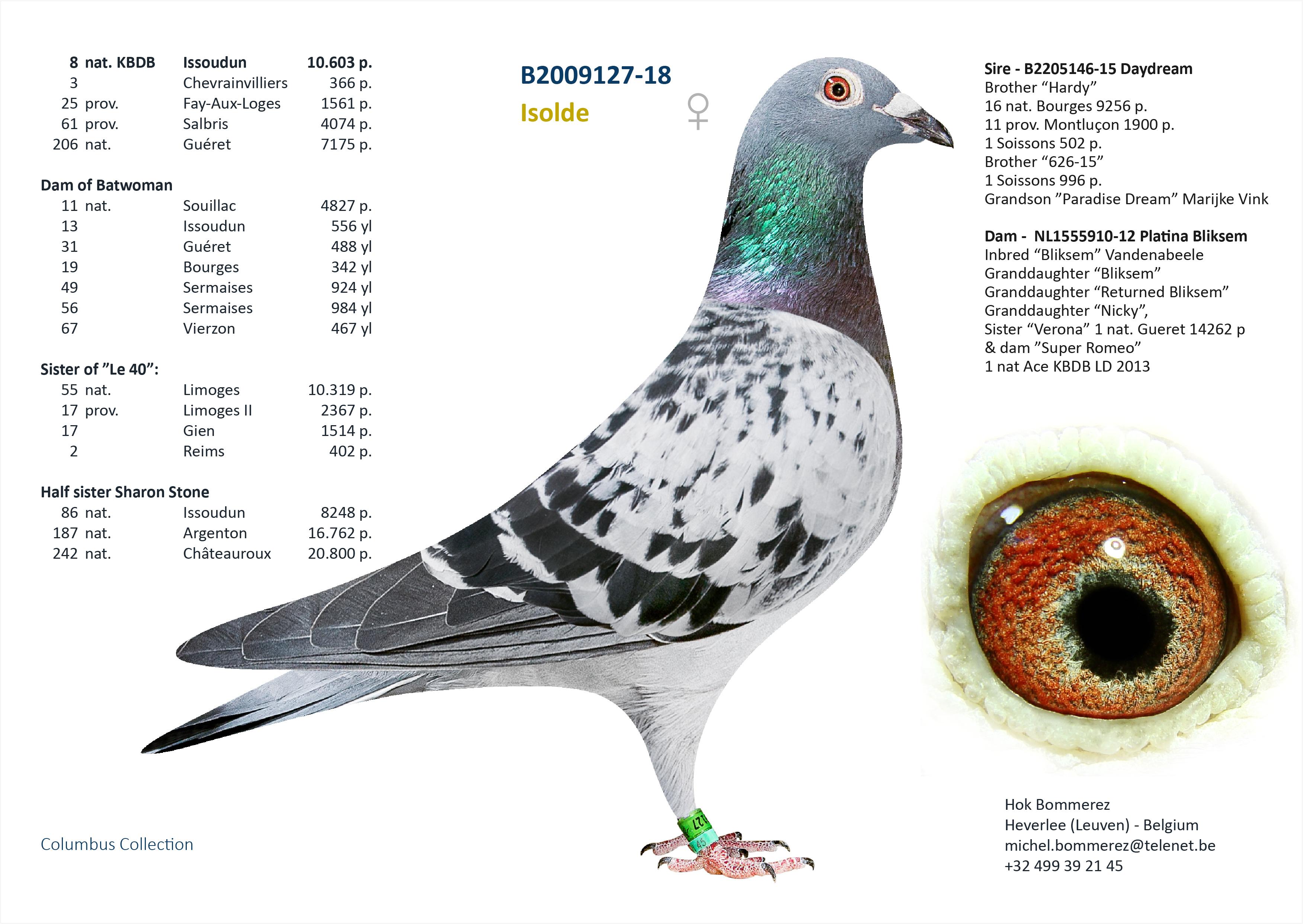 “Carolina", zus van 11 nat. Souillac 4827 d. en dochter van 8 nat. Issoudun 10.603 d. - Familie