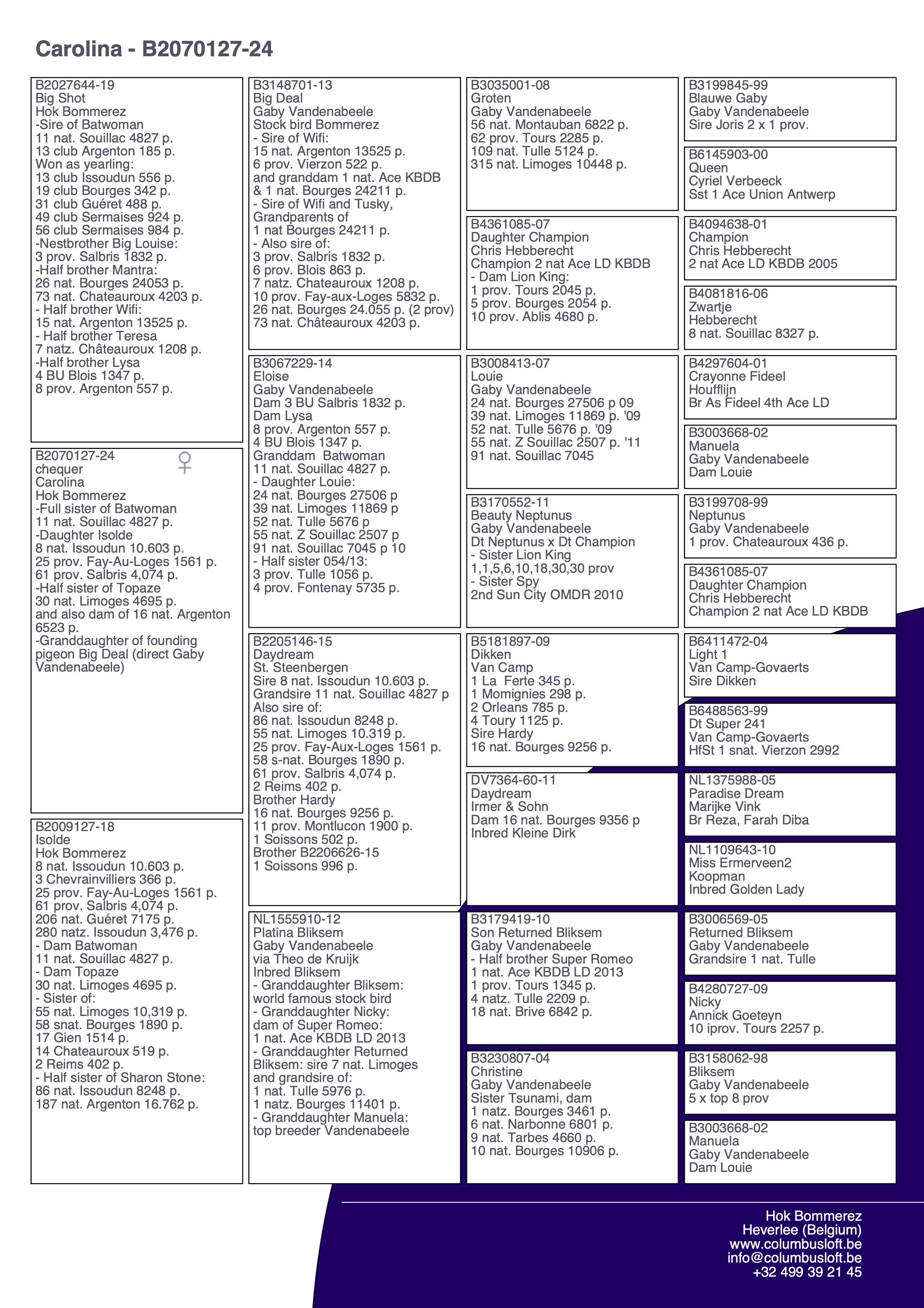 pedigree “Carolina", zus van 11 nat. Souillac 4827 d. en dochter van 8 nat. Issoudun 10.603 d.