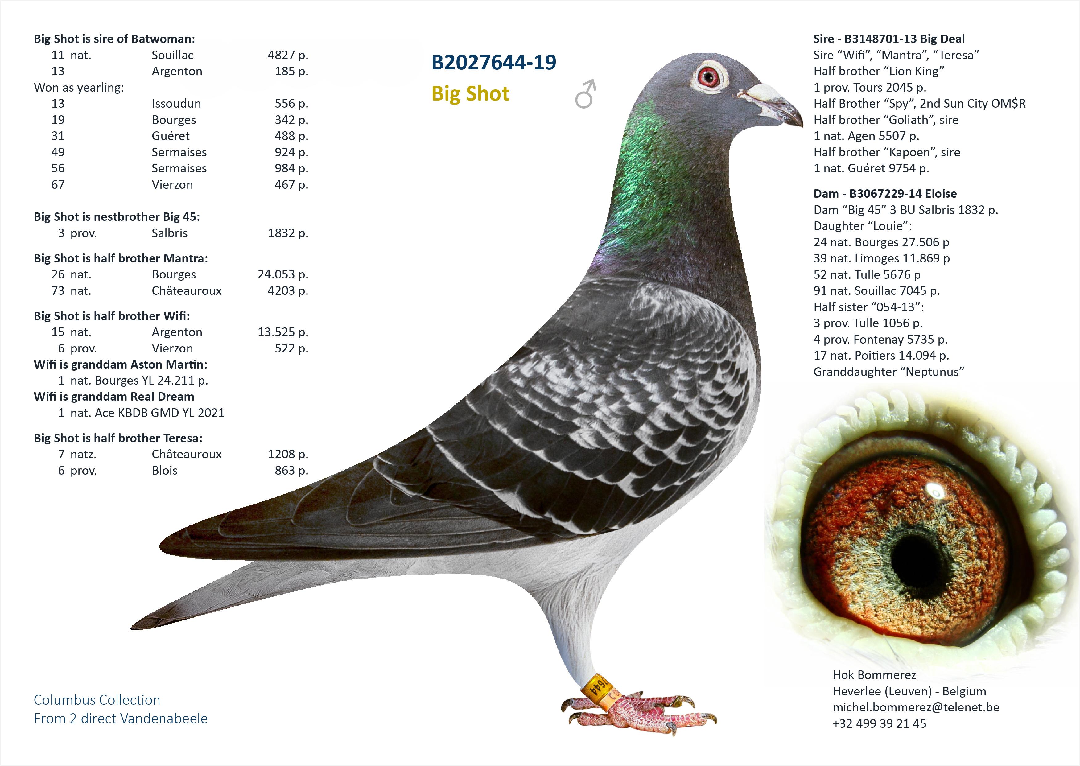 “Northern Light", halfbroer 11 nat. Souillac 4827 d. - uit volle zus 1 nat. Bourges 24.496 d. - Familie