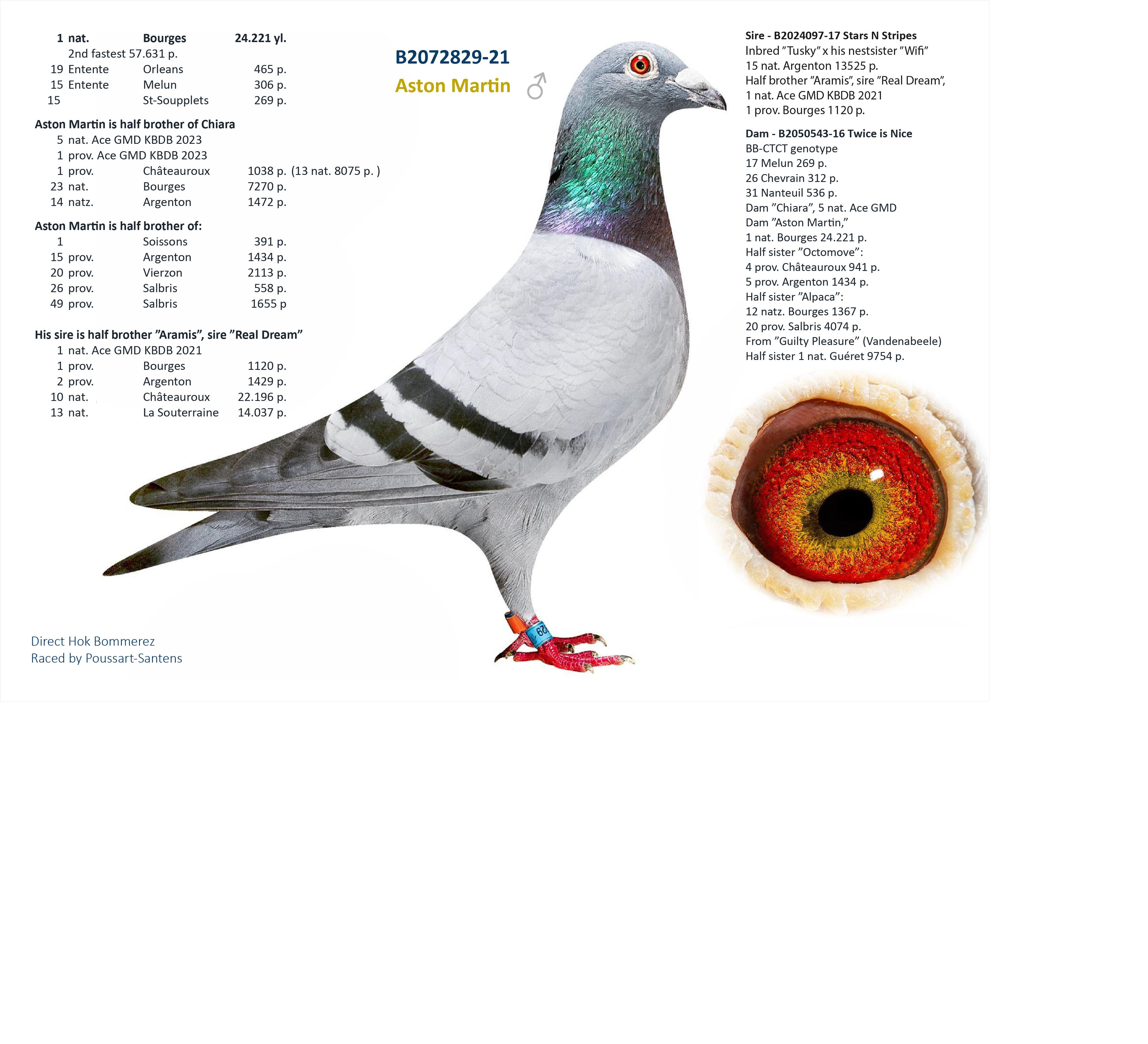 “Northern Light", halfbroer 11 nat. Souillac 4827 d. - uit volle zus 1 nat. Bourges 24.496 d. - Familie