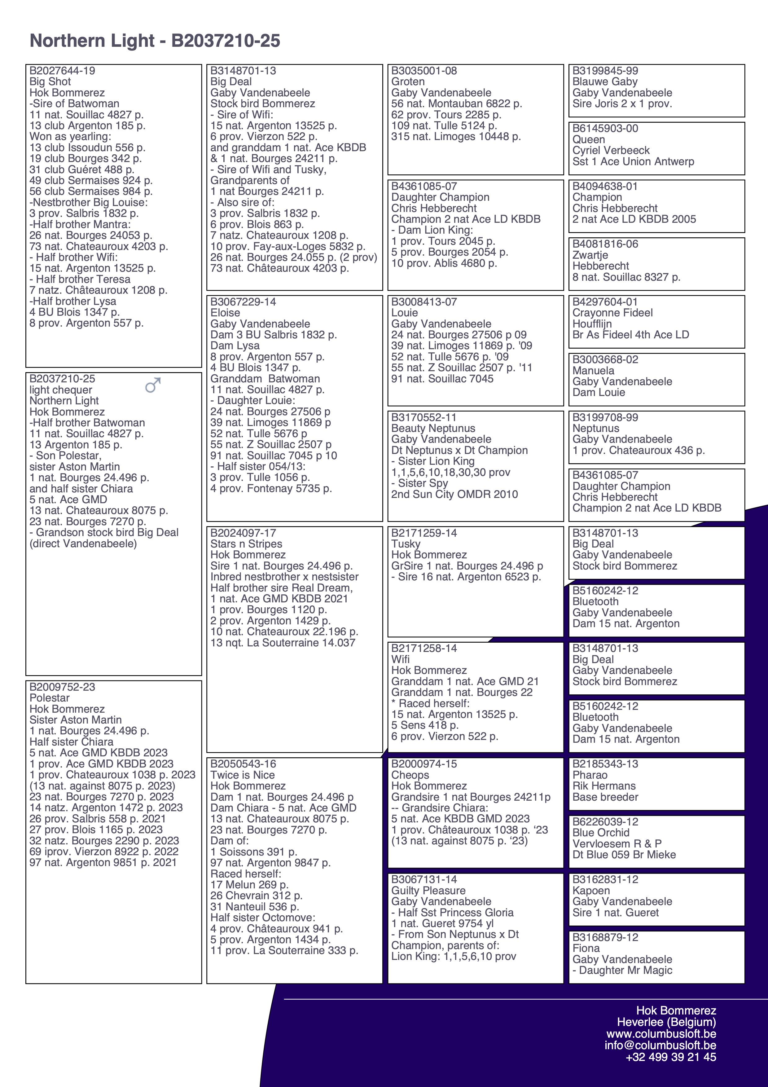 pedigree “Northern Light", halfbroer 11 nat. Souillac 4827 d. - uit volle zus 1 nat. Bourges 24.496 d.
