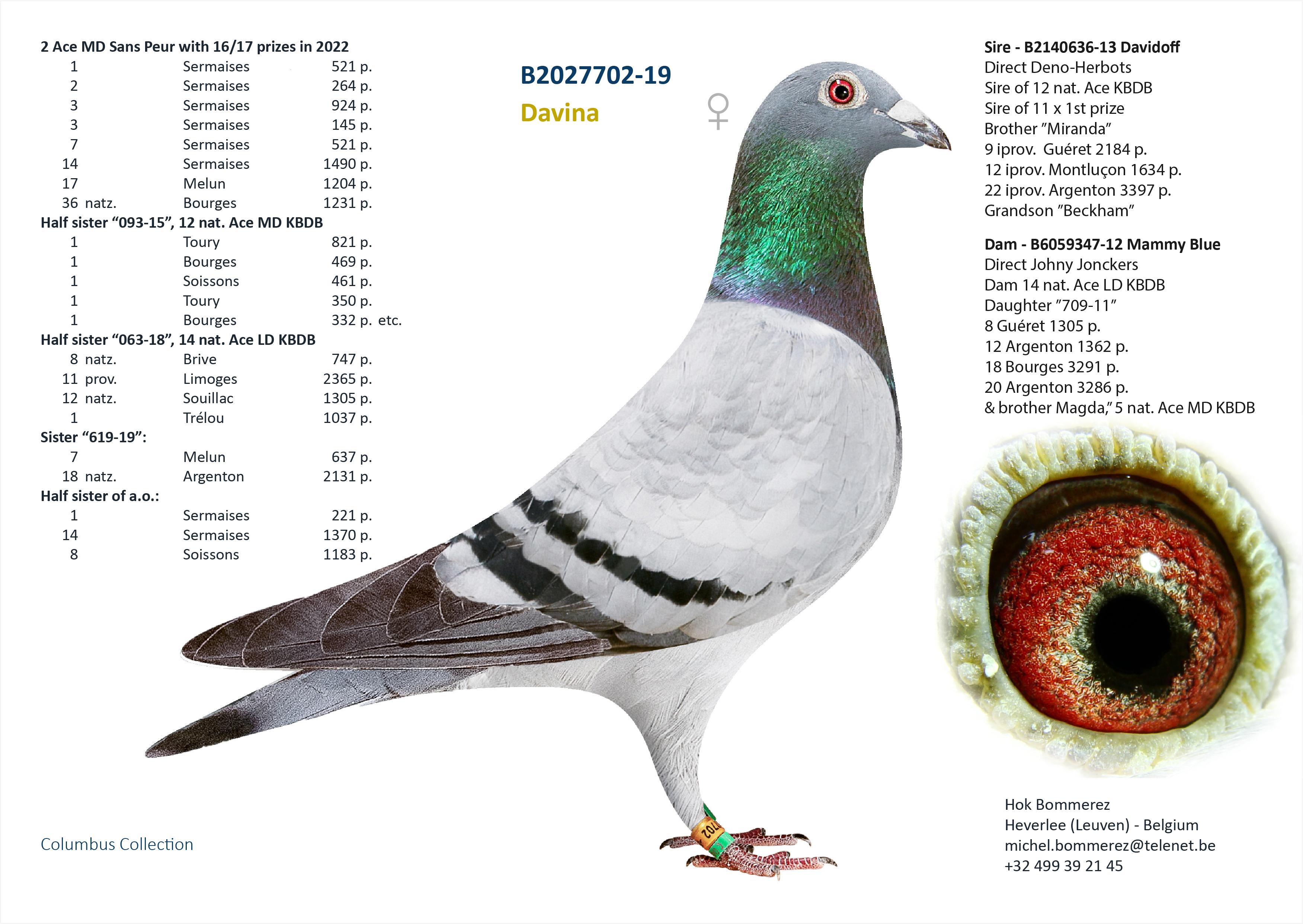 “Black Gun" - halfbroer “Sky High” en “Blue Bullet” -  inteelt “Porsche 911” PEC langs vaderskant - Familie