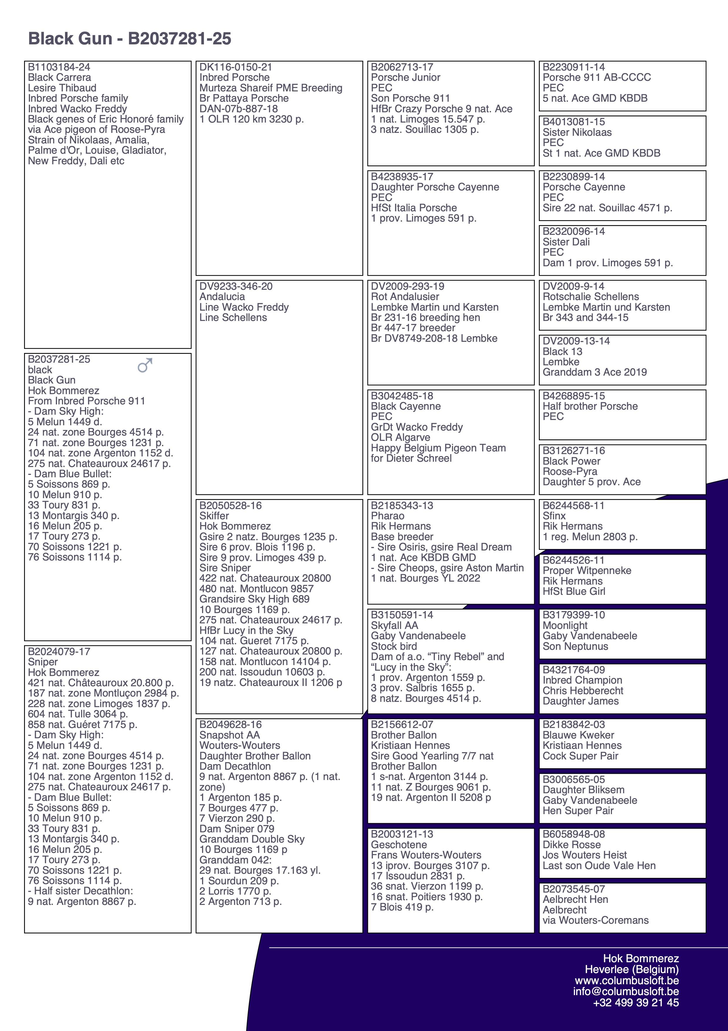 pedigree “Black Gun" - halfbroer “Sky High” en “Blue Bullet” -  inteelt “Porsche 911” PEC langs vaderskant