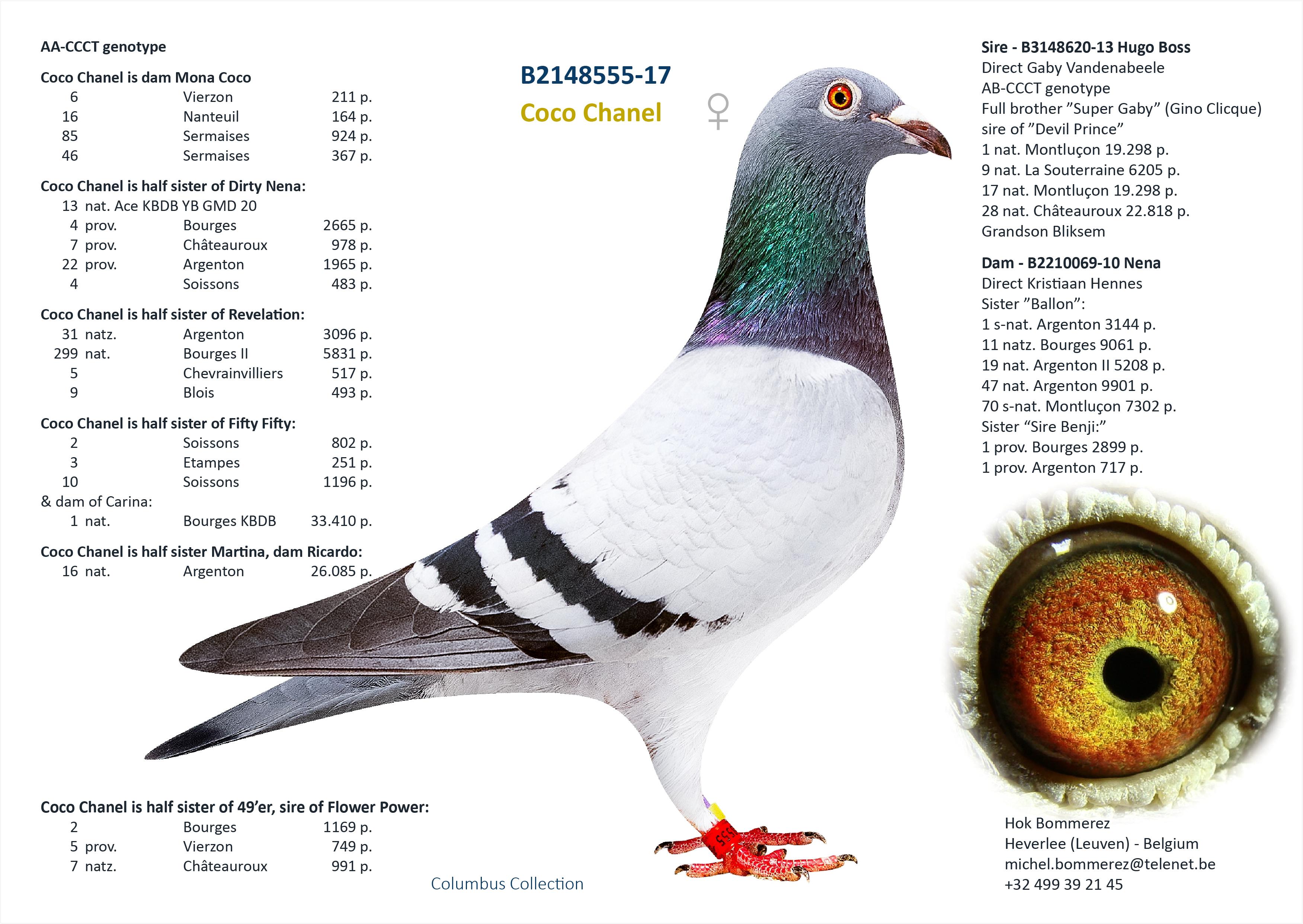 “Mona Coco", bijzonder genotype: AB-CTCC, vliegt 43 prov. Blois 1165 d., 96 nat. zone Bourges 2744 d. en 6 Vierzon 211 d. - Familie
