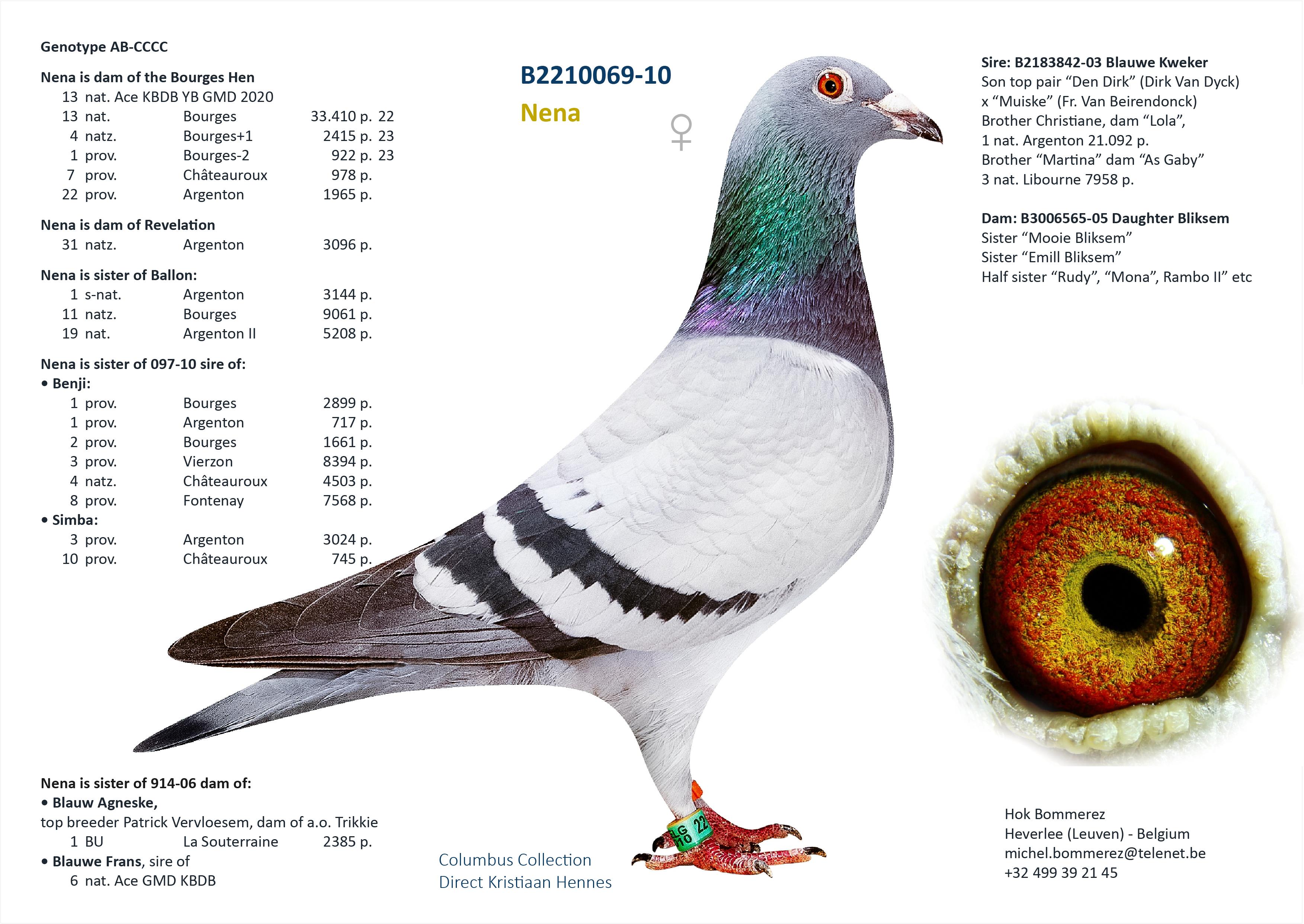 “Mona Coco", bijzonder genotype: AB-CTCC, vliegt 43 prov. Blois 1165 d., 96 nat. zone Bourges 2744 d. en 6 Vierzon 211 d. - Familie