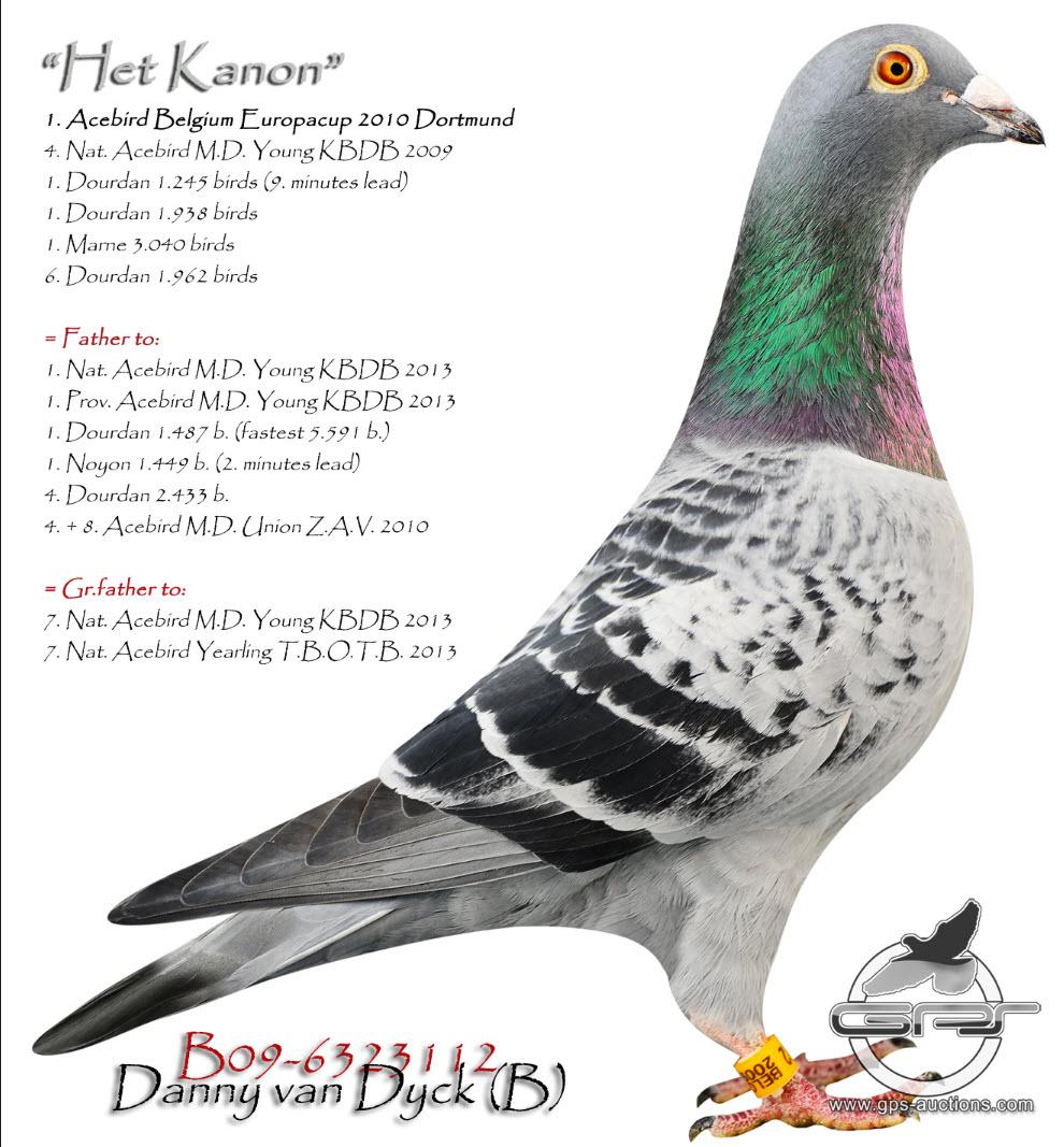 “Rocket Man", direct Danny Van Dyck, halfbroer 6x top 100 nat. (o.a. 8 nat. Argenton) - Familie