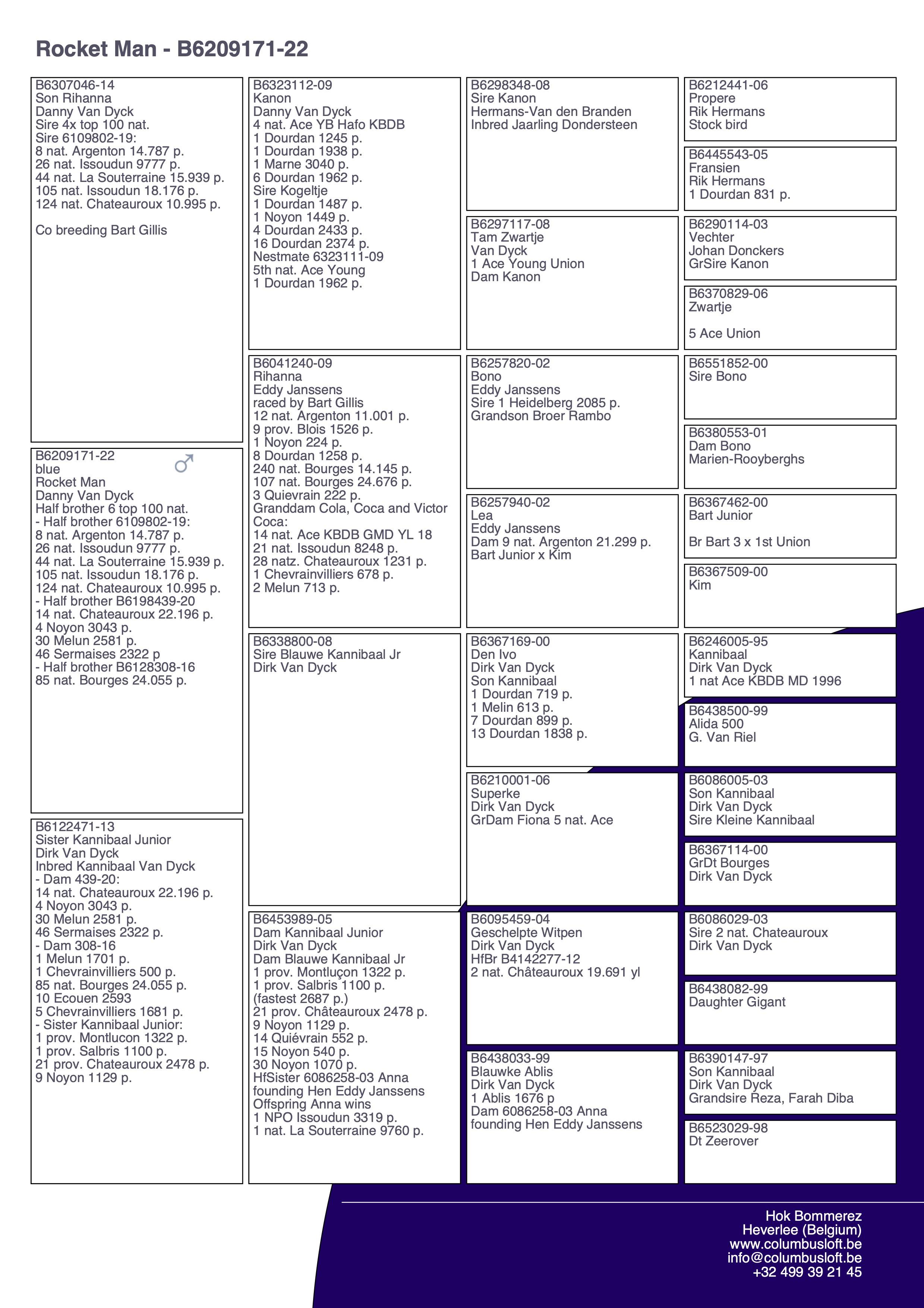 pedigree “Rocket Man", direct Danny Van Dyck, halfbroer 6x top 100 nat. (o.a. 8 nat. Argenton)
