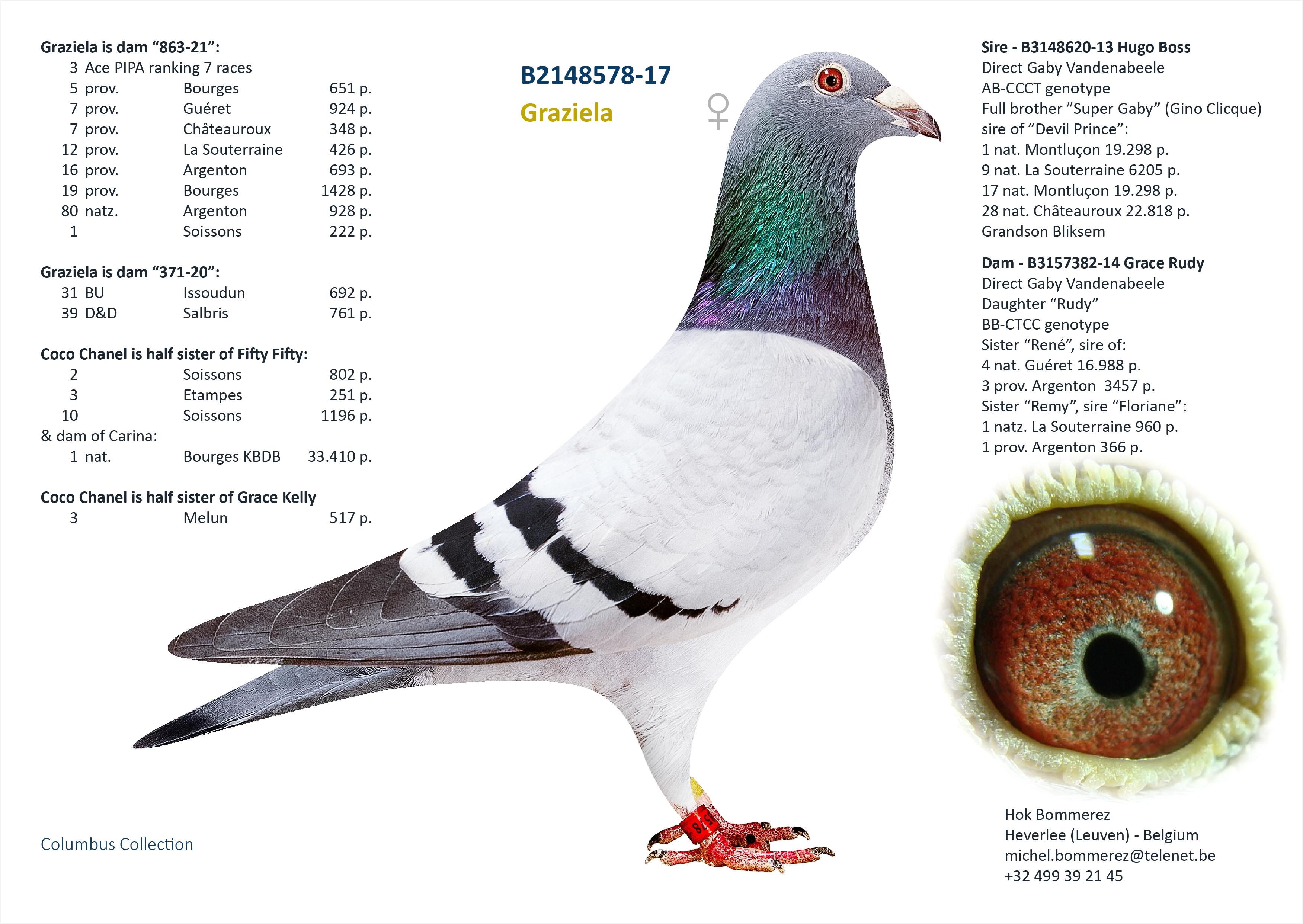 “Fireworks", halfbroer 3 Asduif PIPA 2022 7 vluchten met 11x top 20 provinciaal - Familie