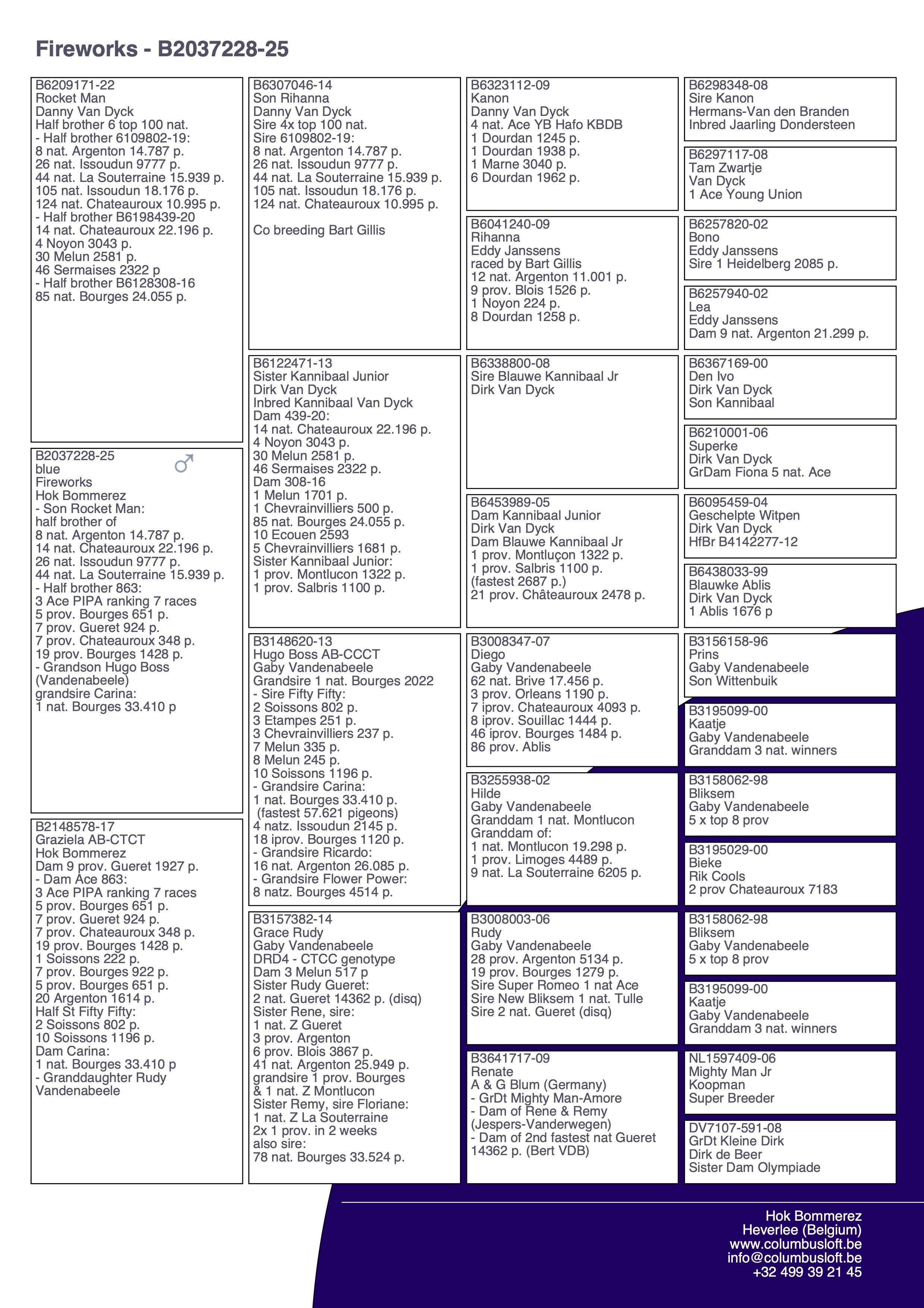 pedigree “Fireworks", halfbroer 3 Asduif PIPA 2022 7 vluchten met 11x top 20 provinciaal
