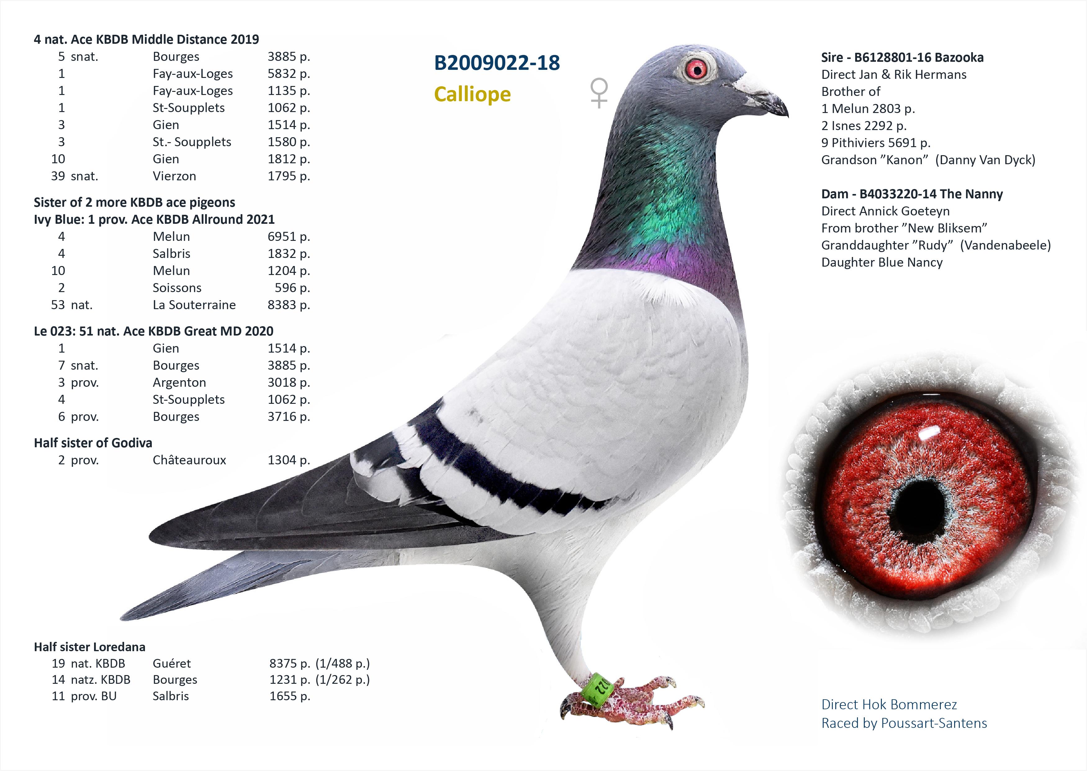 “Bonanza AA", genotype AA, moeder 64 nat. Vierzon 16.895 d., zus 1 prov. Asduif KBDB 2021 - Familie