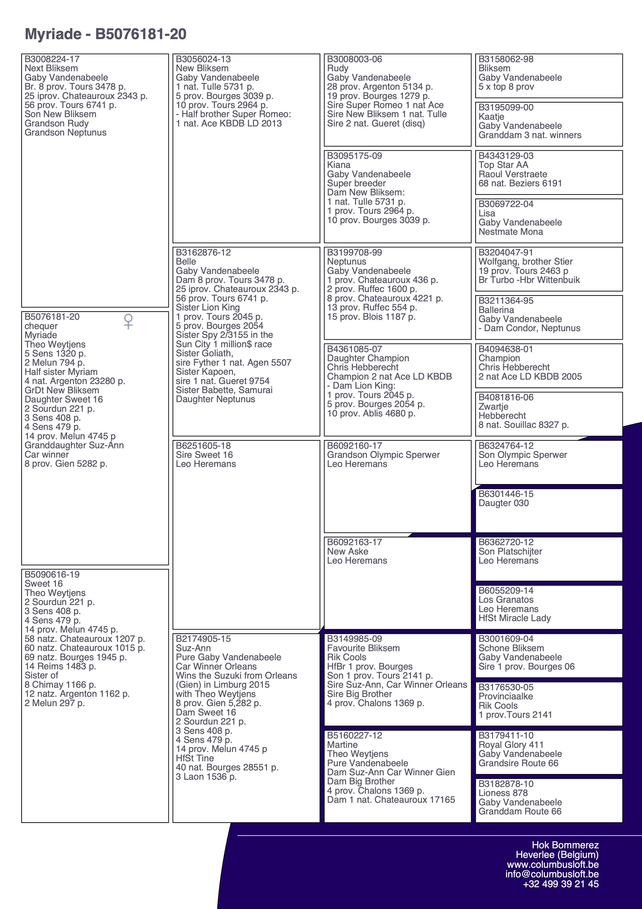 pedigree “Myriade", genotype CCCT, vliegt zelf 5 Sens 1320 d. en 2 Melun 794 d. als jonge duif, kleindochter New Bliksem (Vandenabeele)