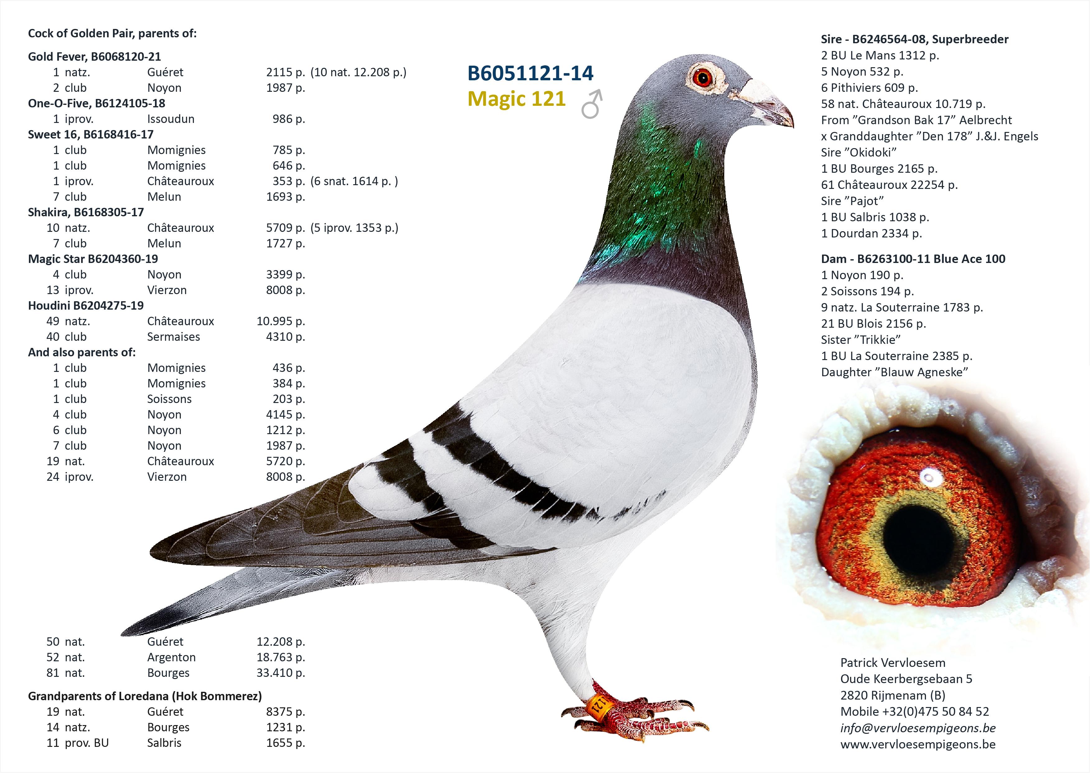 “Penn" halfbroer 19 nat. Guéret 8375 d. - kleinzoon stamvader “Big Deal” - Familie