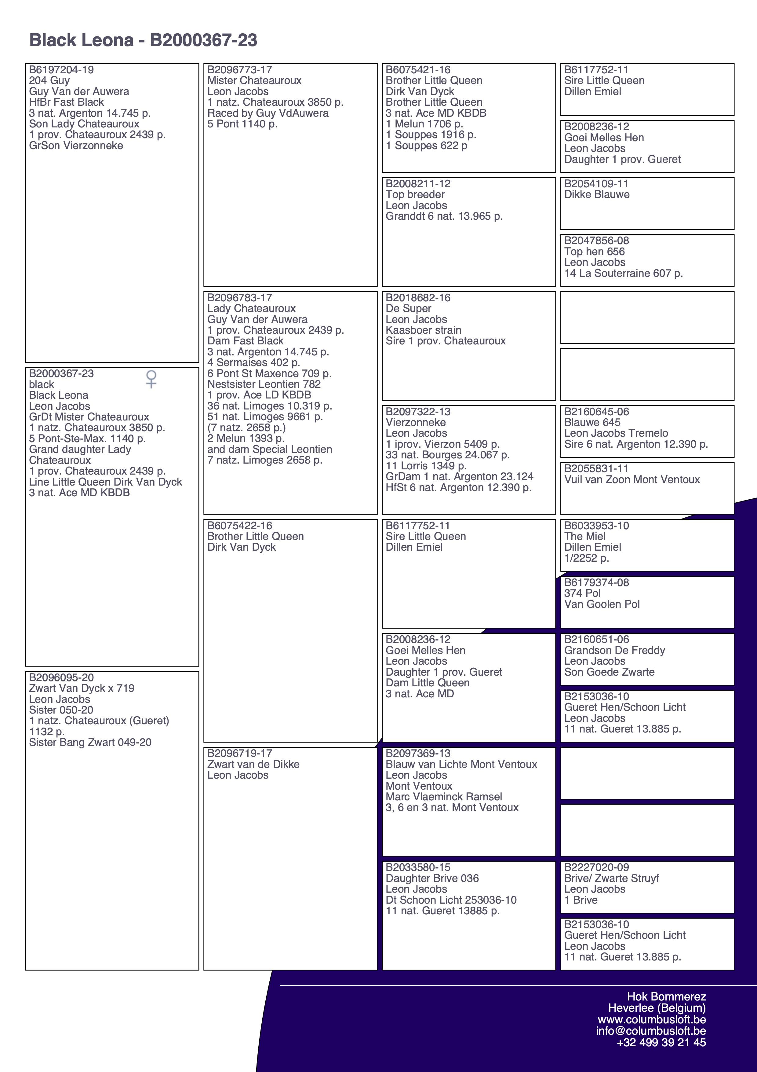 pedigree “Black Leona" ‘Moorke’ van  Leon Jacobs - Kleindochter 1 nat. zone Châteauroux 3850 d.