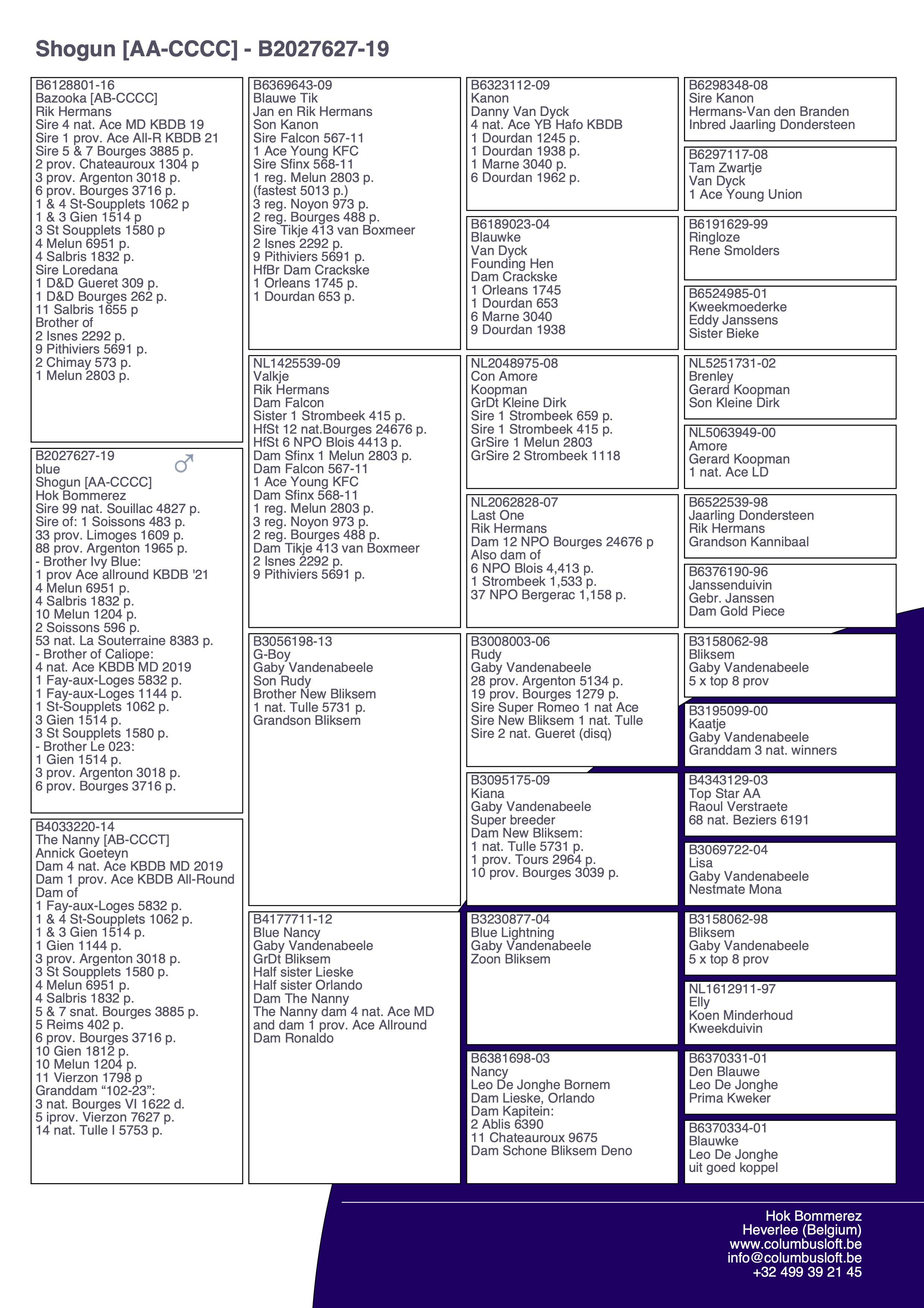 pedigree “Shogun", genotype AA, vader 99 nat. Souillac en 33 prov. Limoges, broer 1 prov. Asduif All-Round KBDB 2021