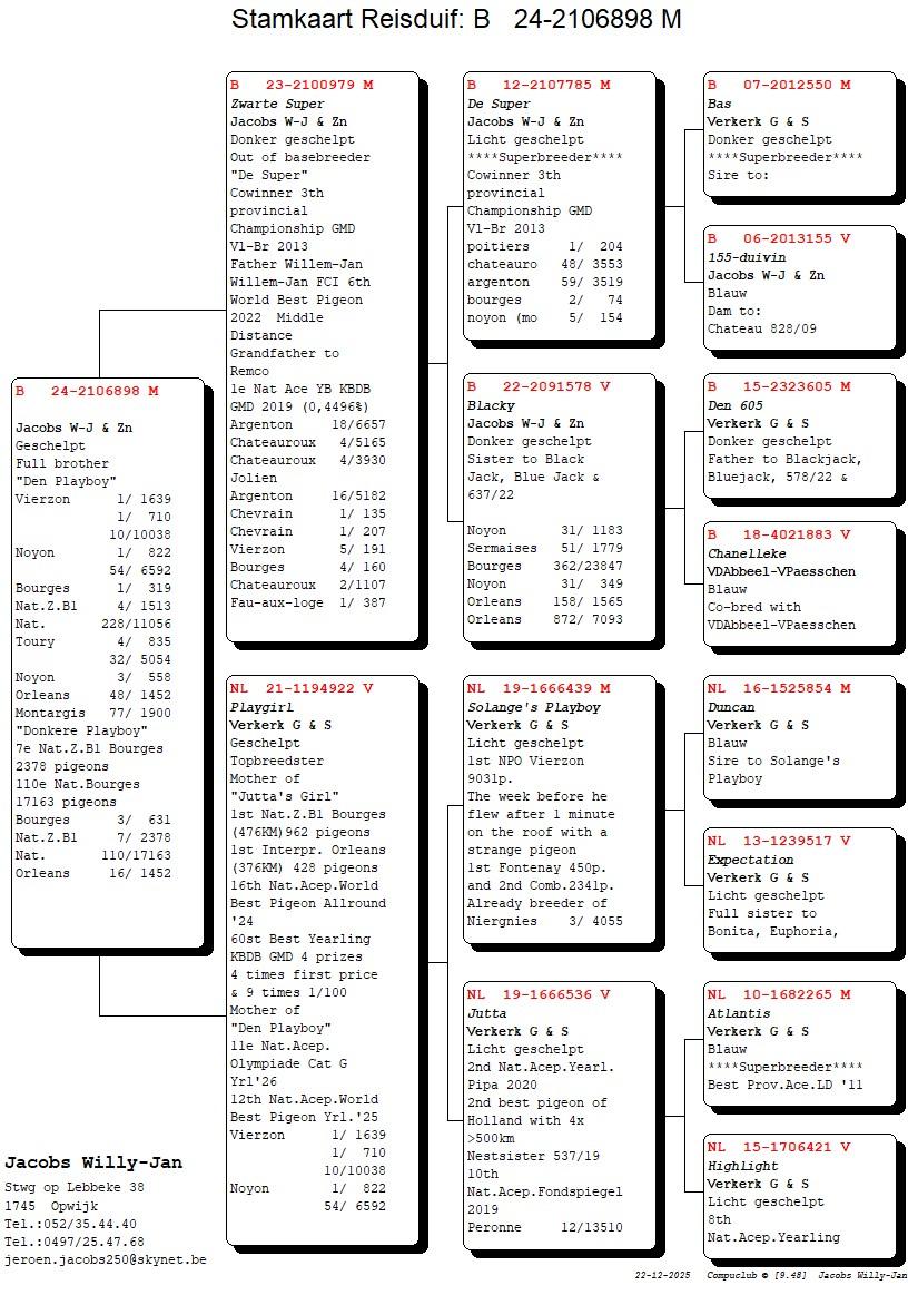 pedigree Volle broer “Den Playboy”, 11e Nat.Asduif Olympiade Cat G Jrl. 2026 & 12e Nat.Asduif World Best Pigeon Jrl. 2025