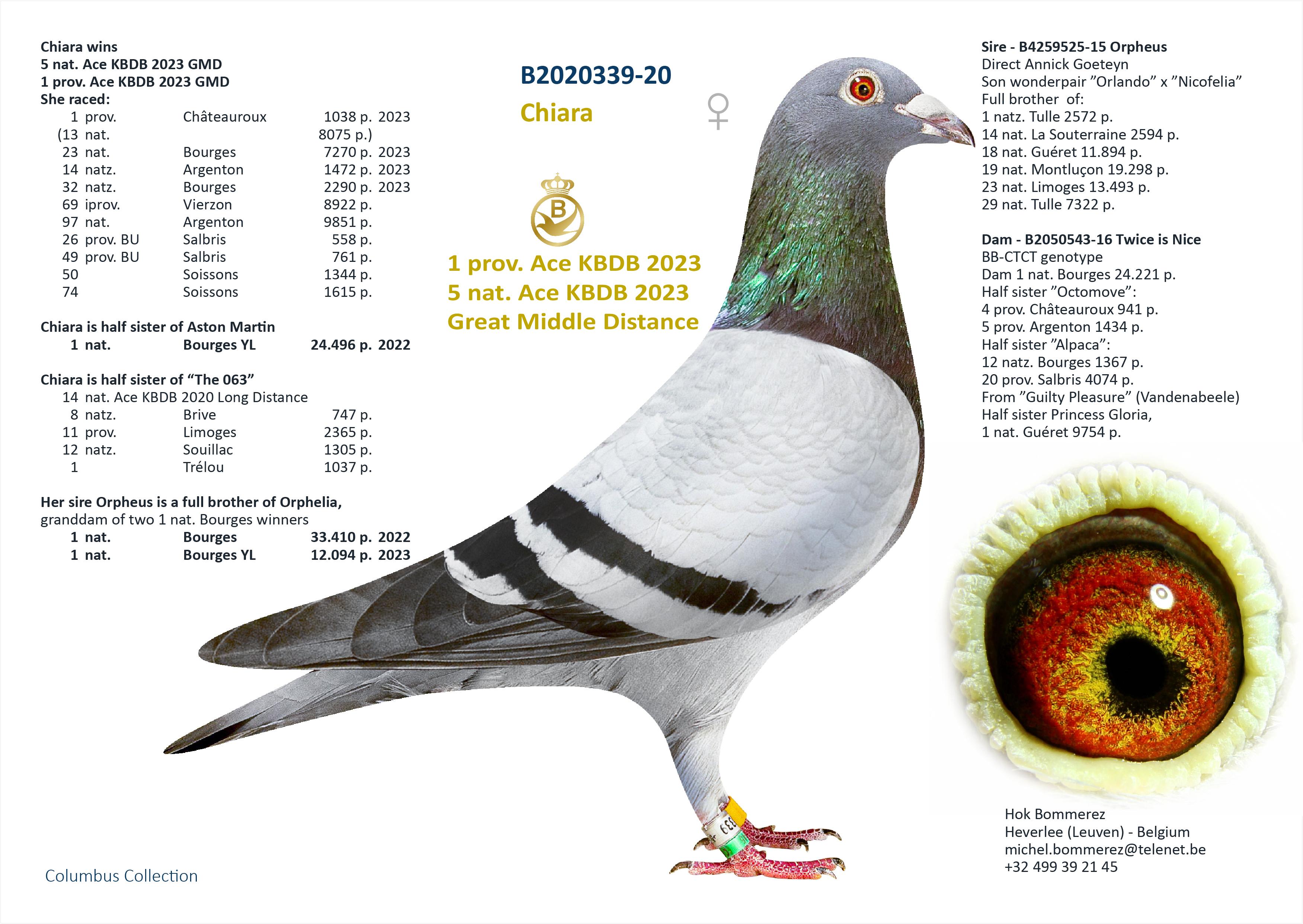 “Saturnus" CTCC genotype - Zoon “Tiny Rebel” 1 prov. BU Argenton 1559 d. - 3 prov. Salbris 1655 d. - 8 nat. zone Bourges 4514 d. - Familie