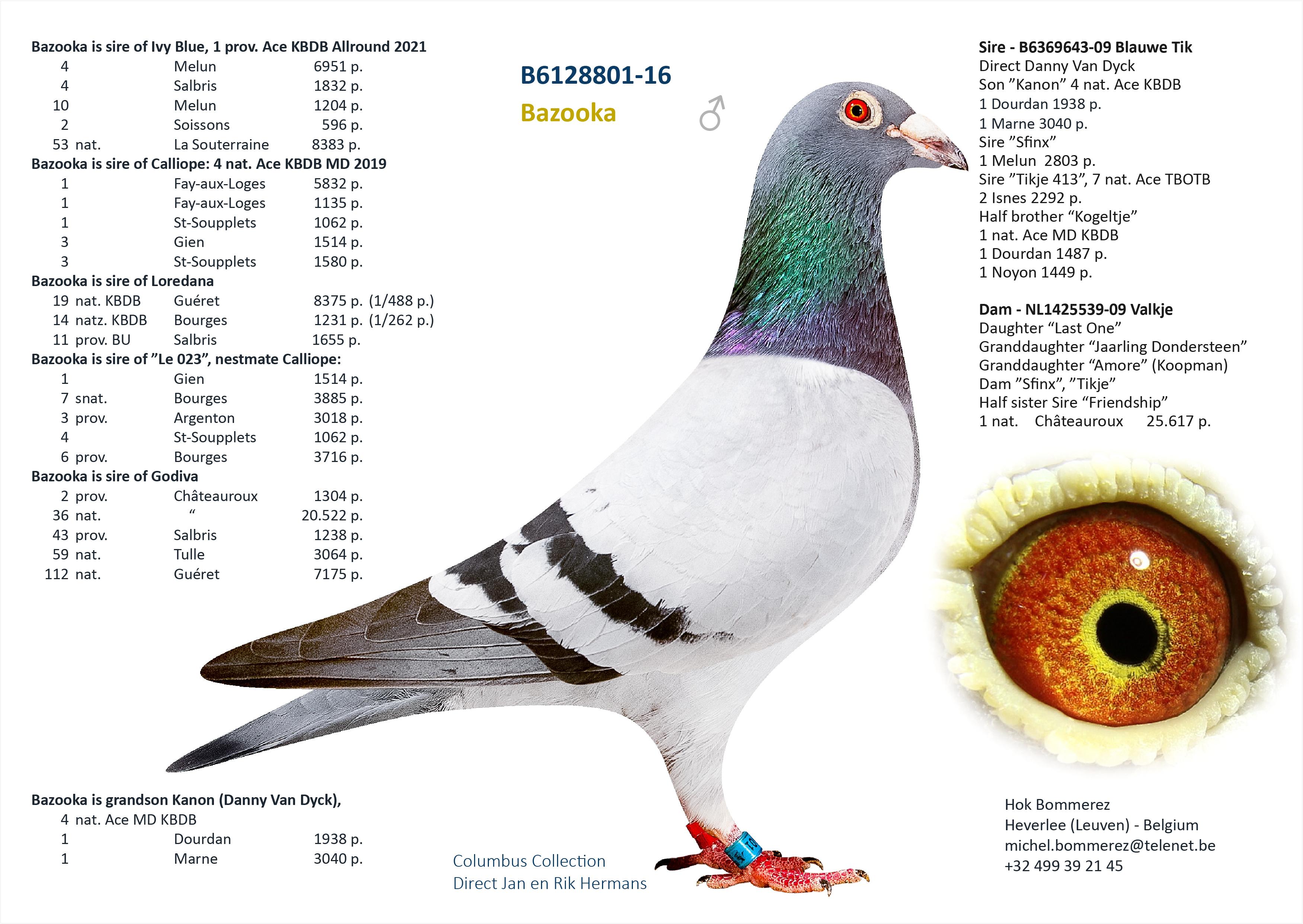 “Blue Label", genotype: AB-CCCT - Zoon 1 prov. Asduif allround KBDB met o.a. 4 Melun 6951 d. - Familie