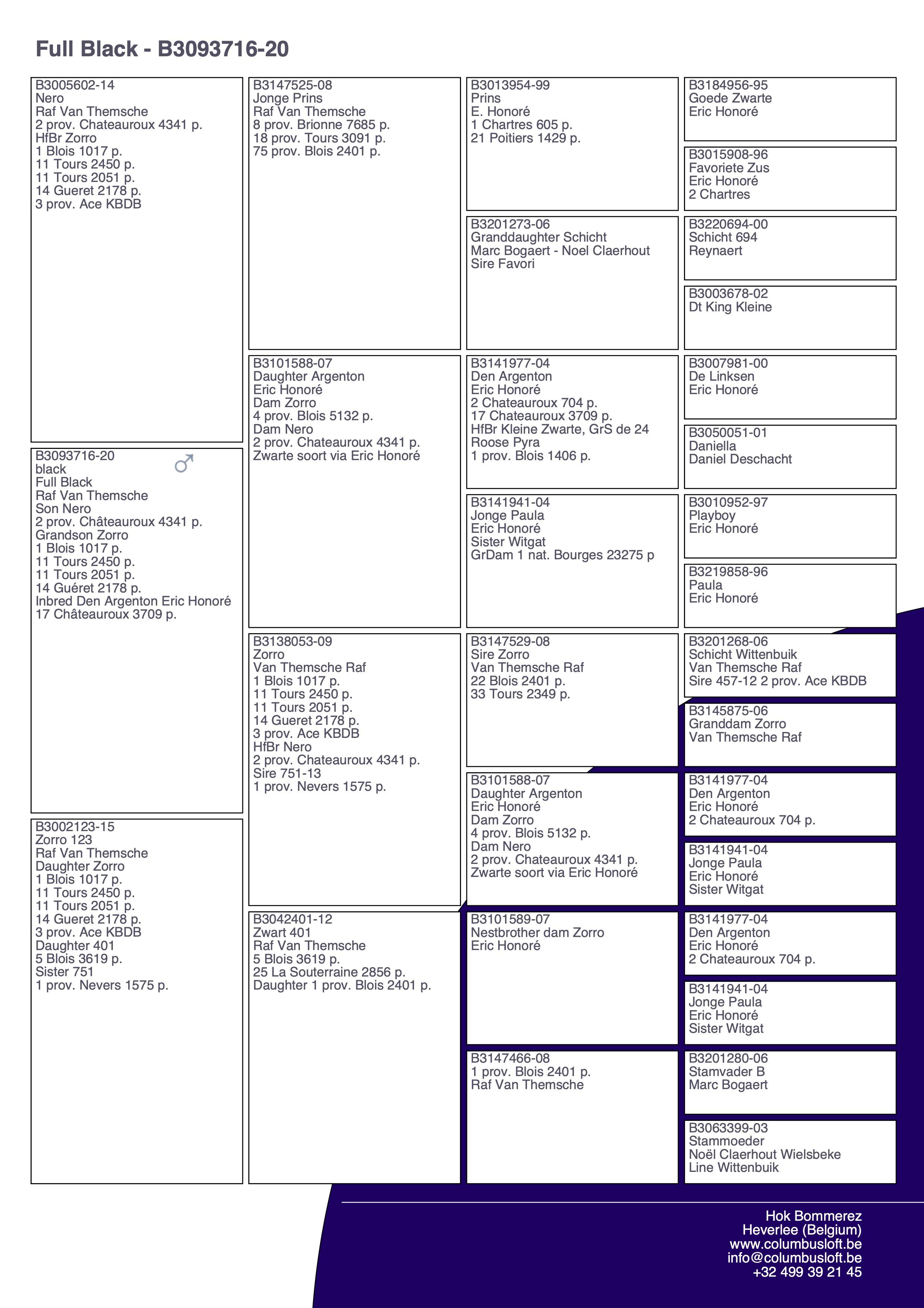 pedigree “Full Black" zoon 2 prov. Châteauroux 4341 d. - kleinzoon 1 Blois 1017 d.