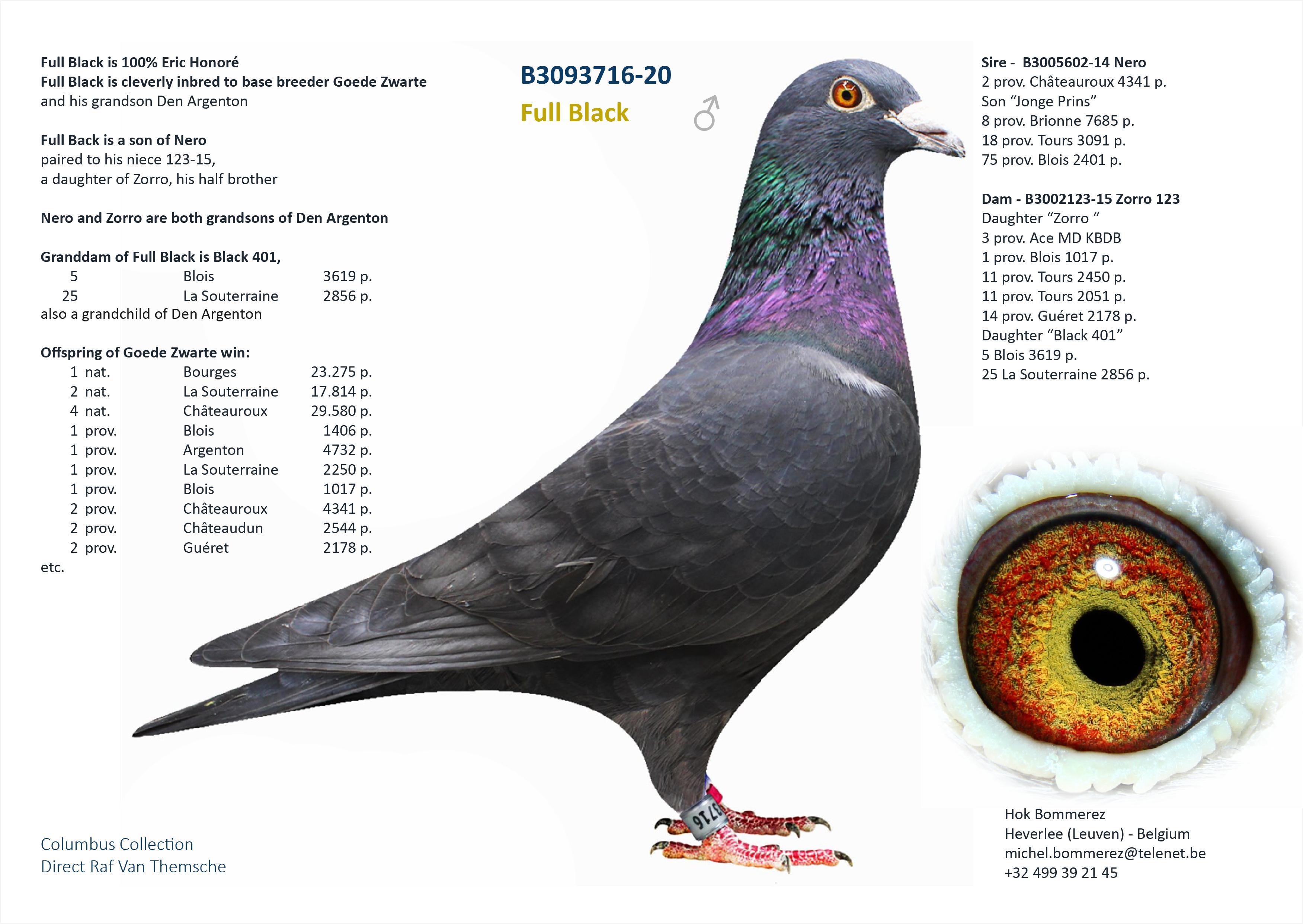 “Gondola", AB genotype, dochter 2 prov. Châteauroux 1304 d. - Familie