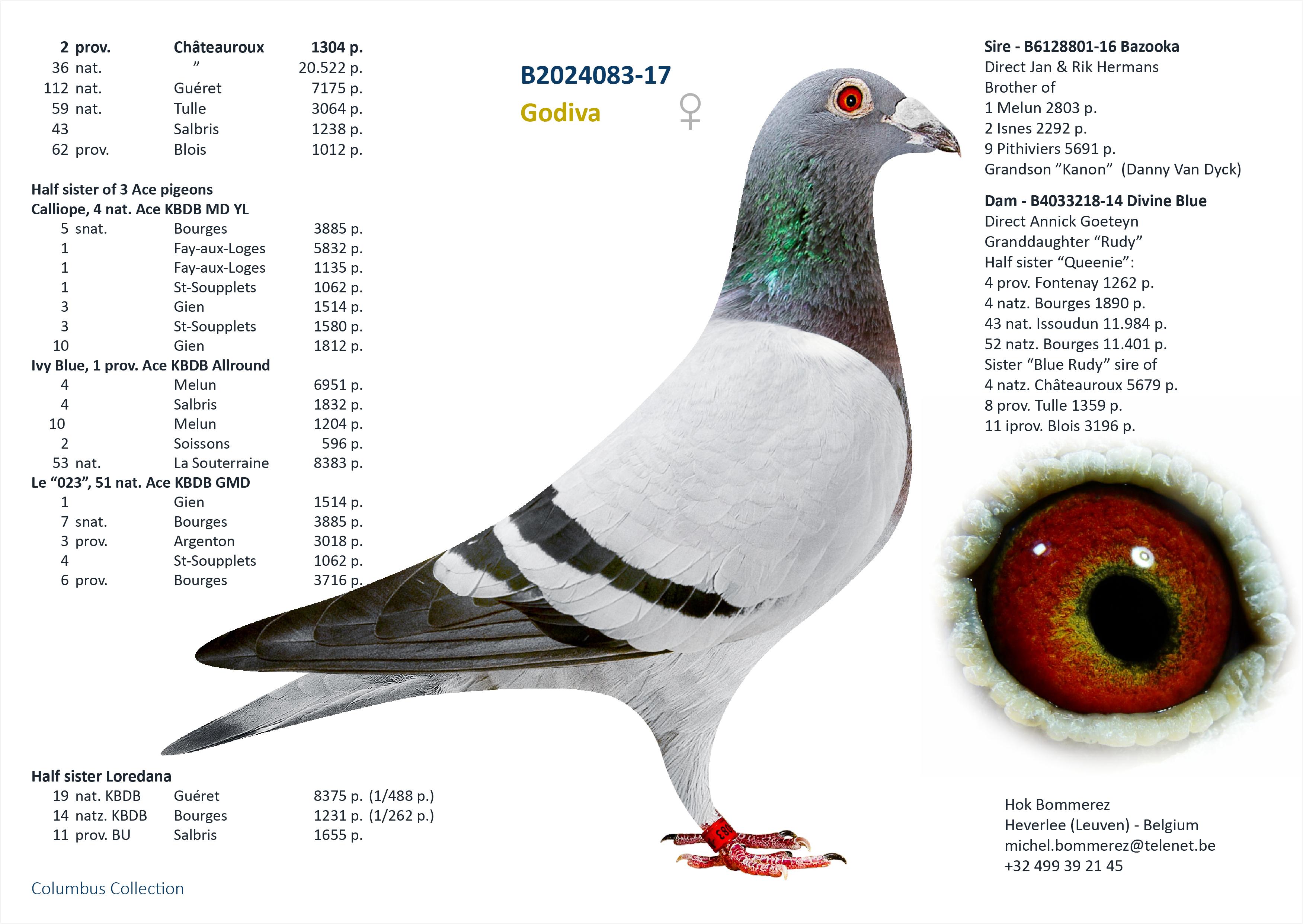“Gondola", AB genotype, dochter 2 prov. Châteauroux 1304 d. - Familie