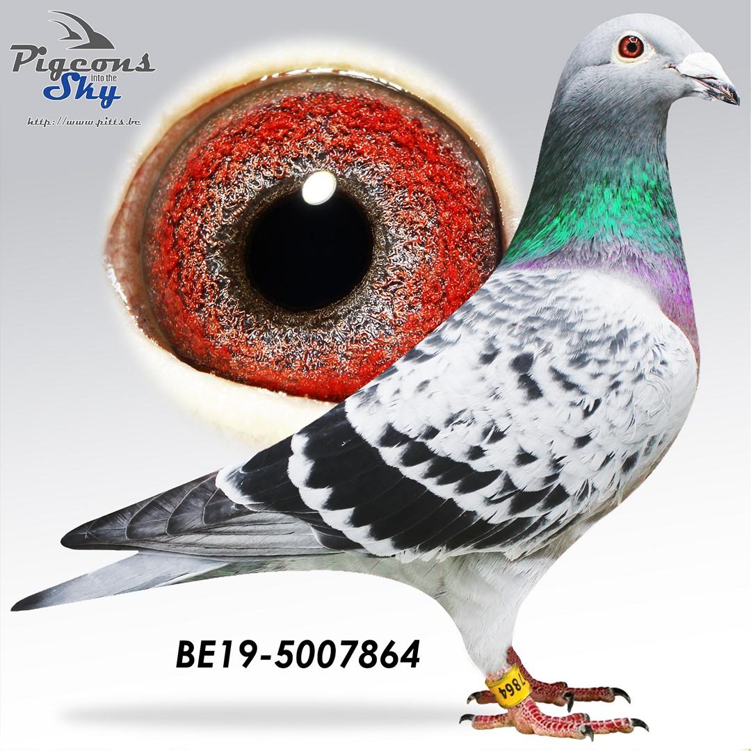 Dochter van topkweker 449/14